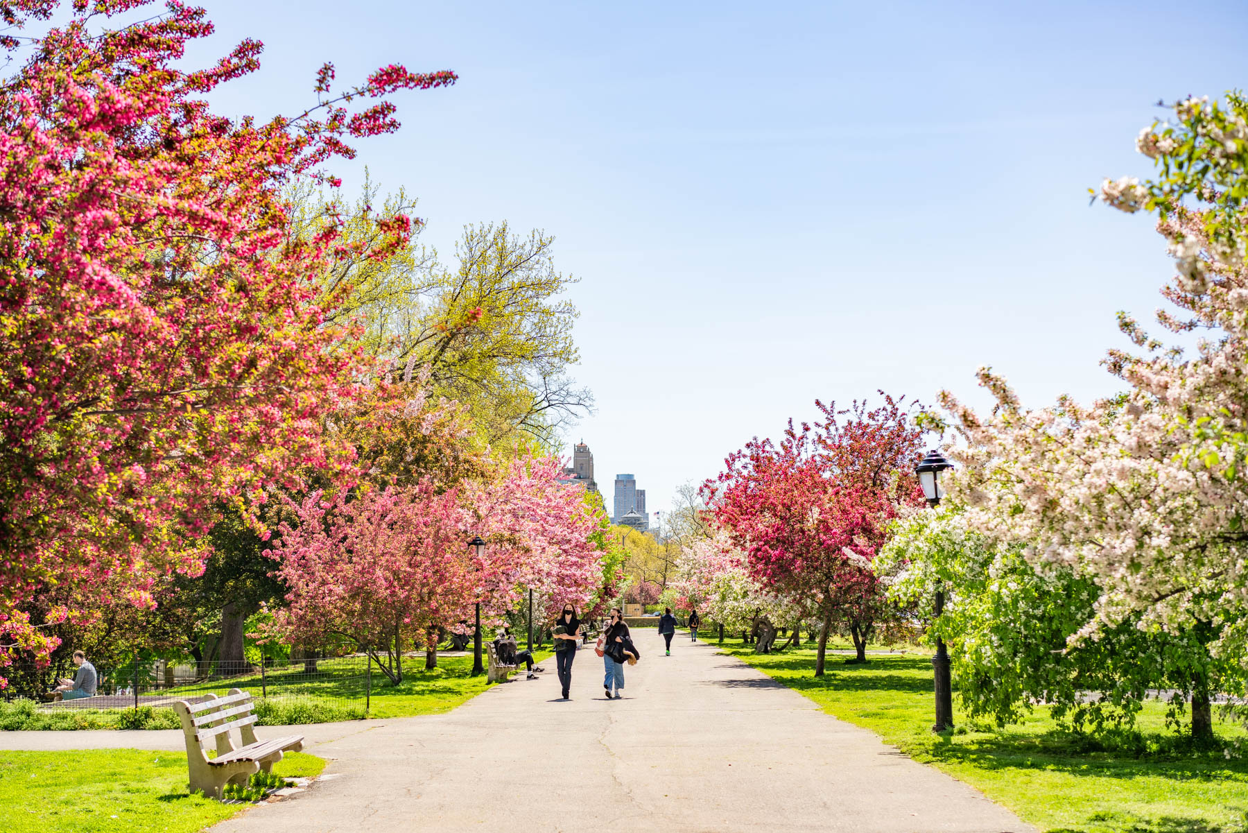 Best things to do Upper WEST Side