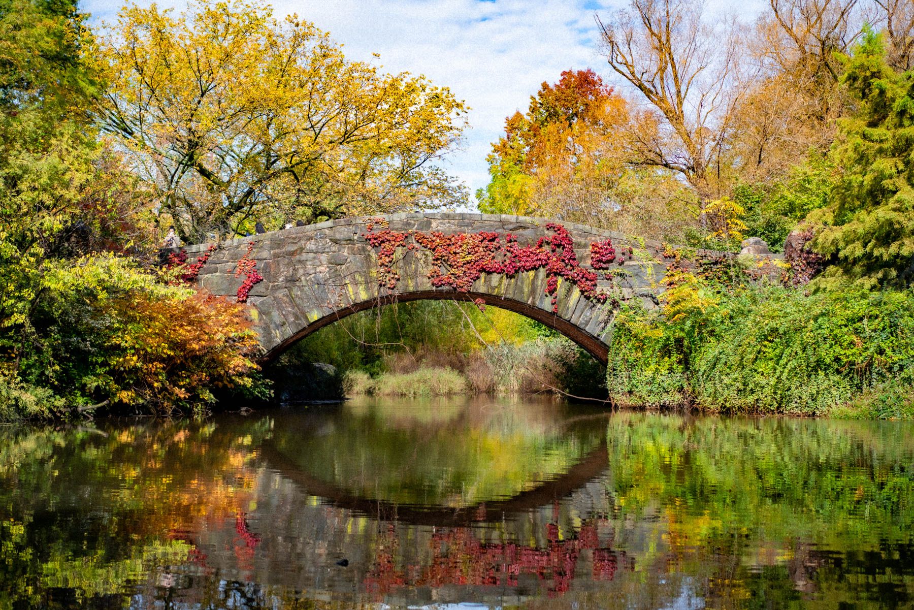 Gapstow Bridge in Central Park during Fall,  Fall Foliage in Central Park