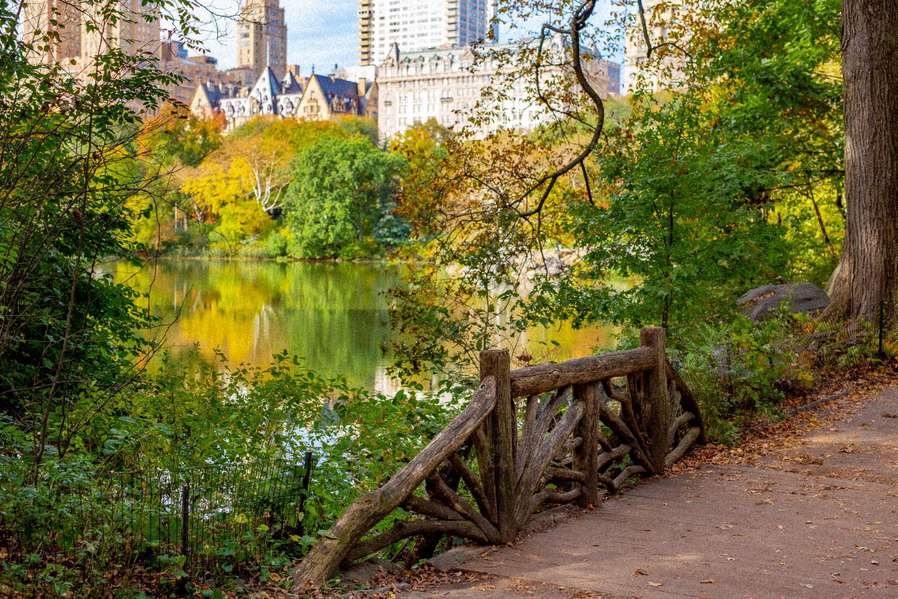 The Ramble Central Park Fall