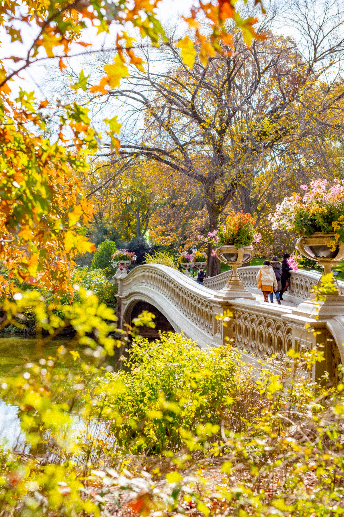 12+ Epic Spots to See Fall Foliage in Central Park New York Simply