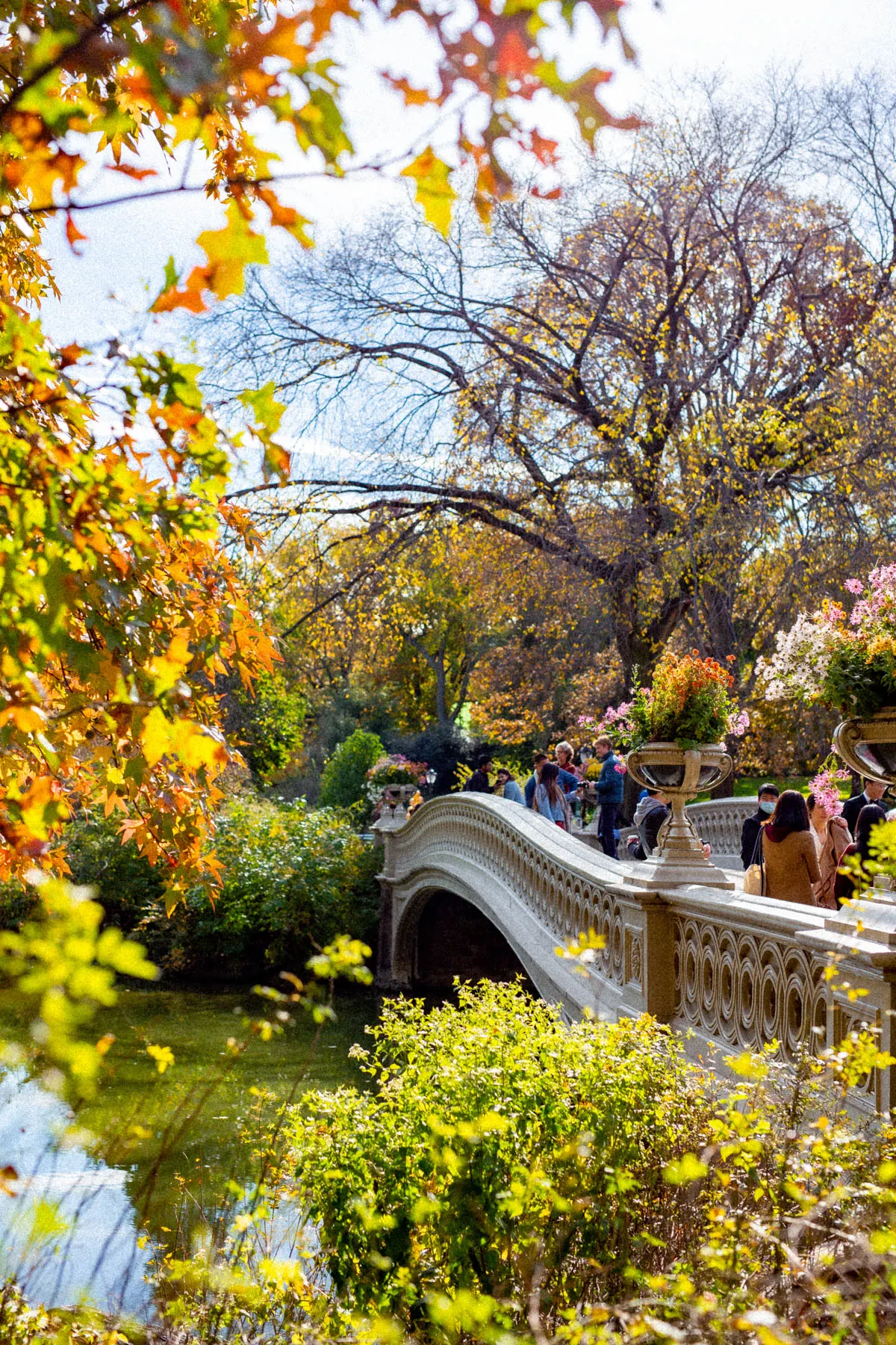 Best places to propose in NYC, Bow Bridge Central Park, 3 days NYC