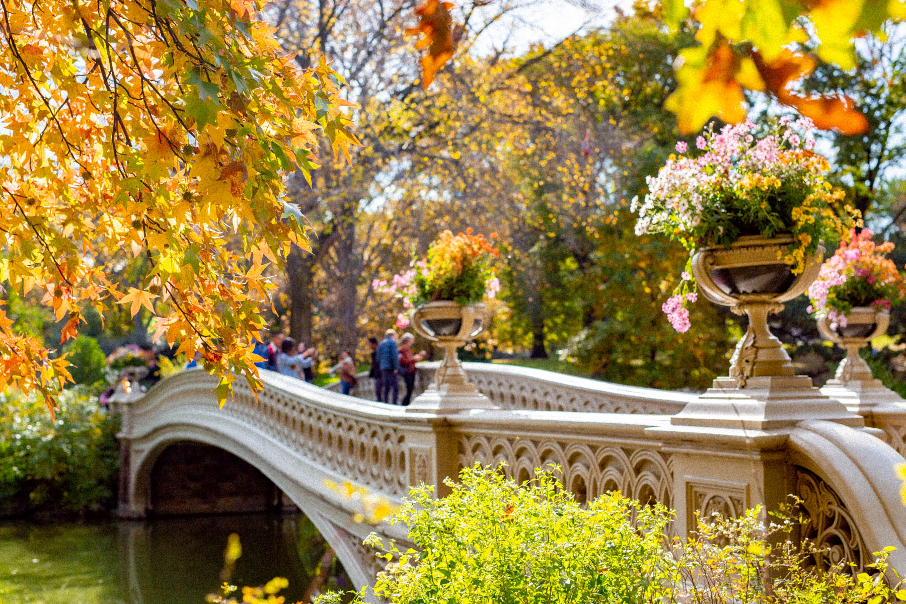 autumn Bow Bridge Central Park fall