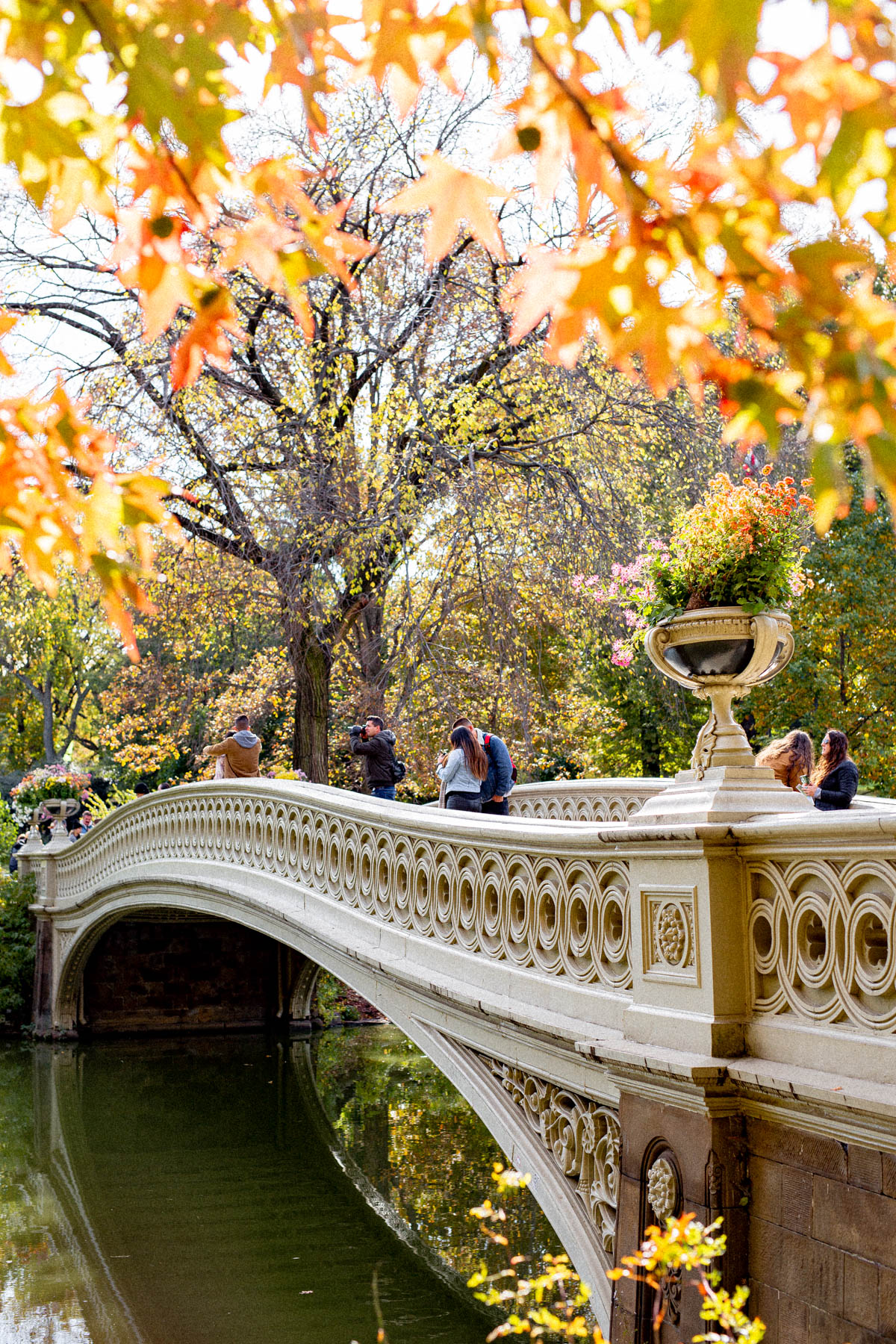 best photo spots in Central Park
