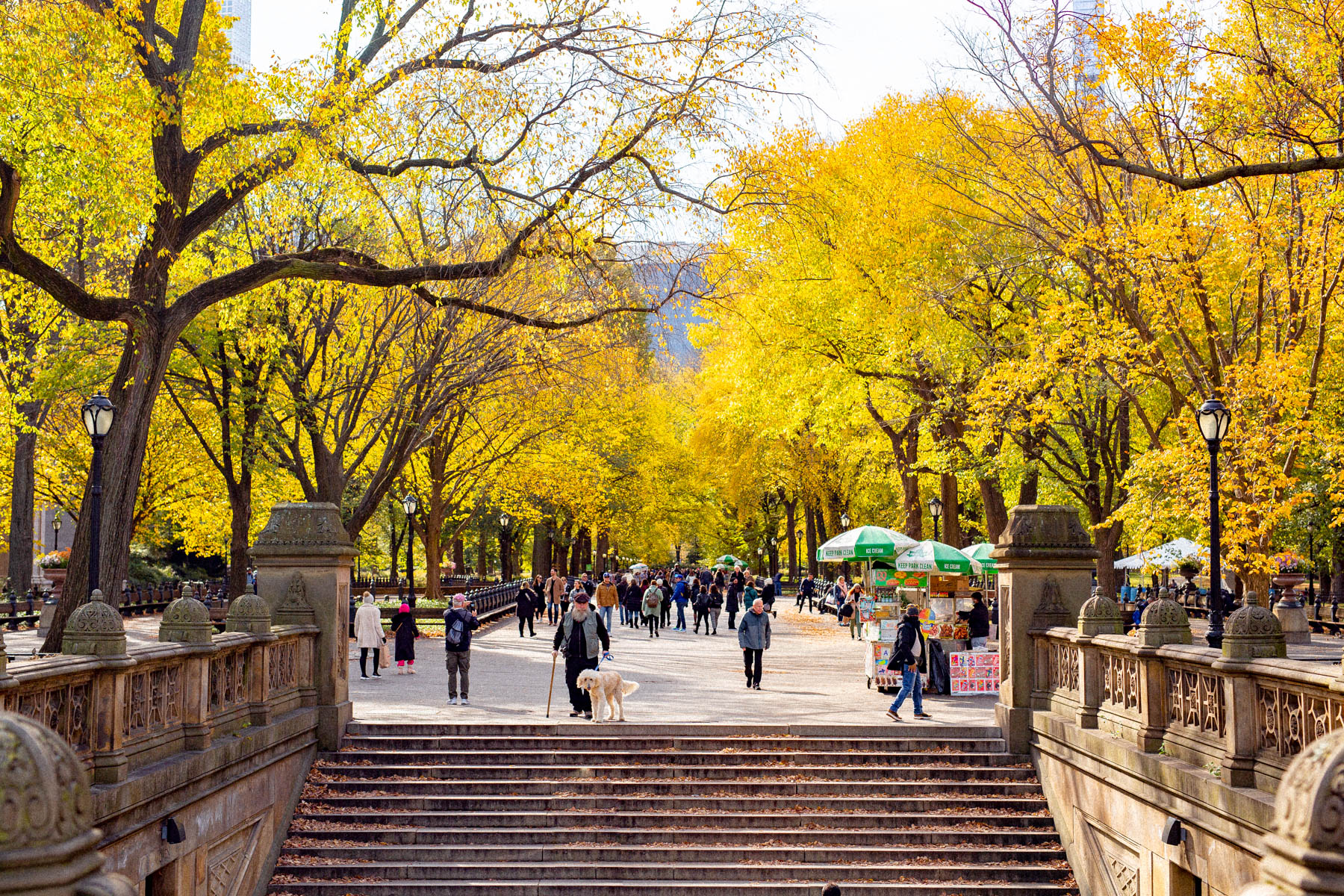 best fall color Central Park