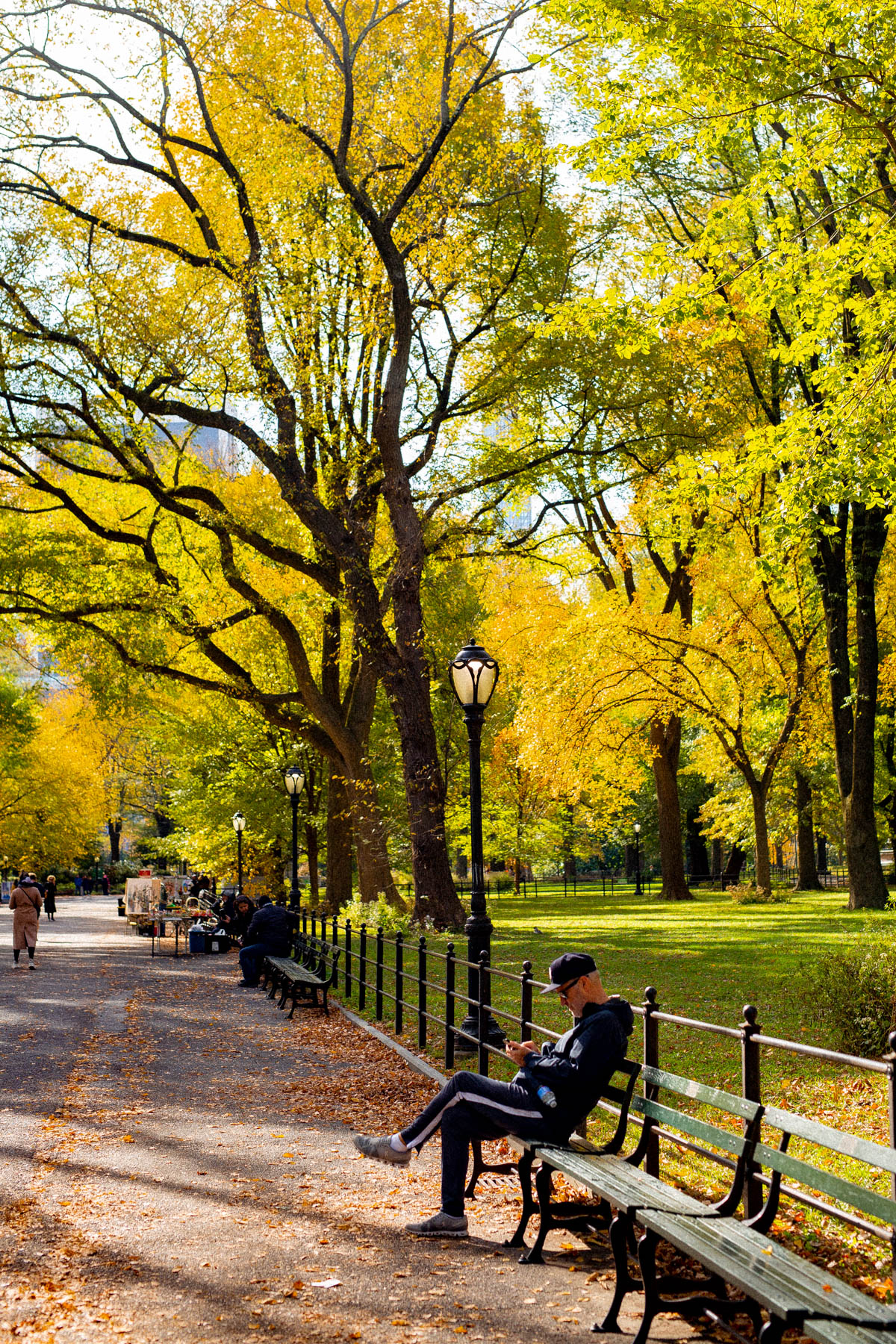 Central Park Fall foliage 
NYC Autumn Color
