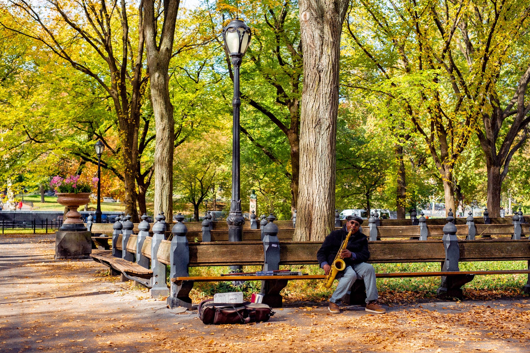 Best time to visit New York City, Saxophone player in Central Park