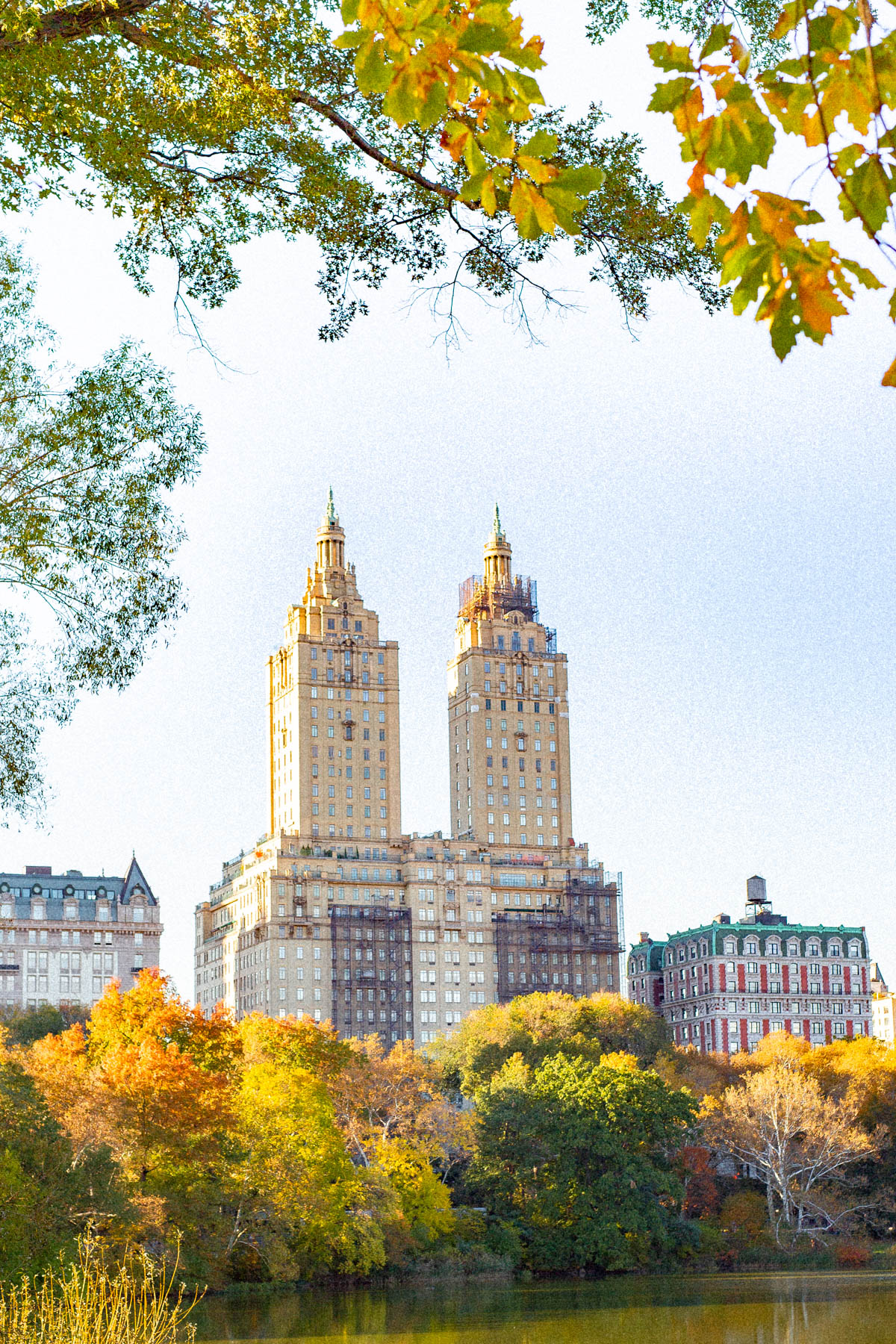 Visiting New York City in the Fall,
Fall colors in Central Park, NYC
