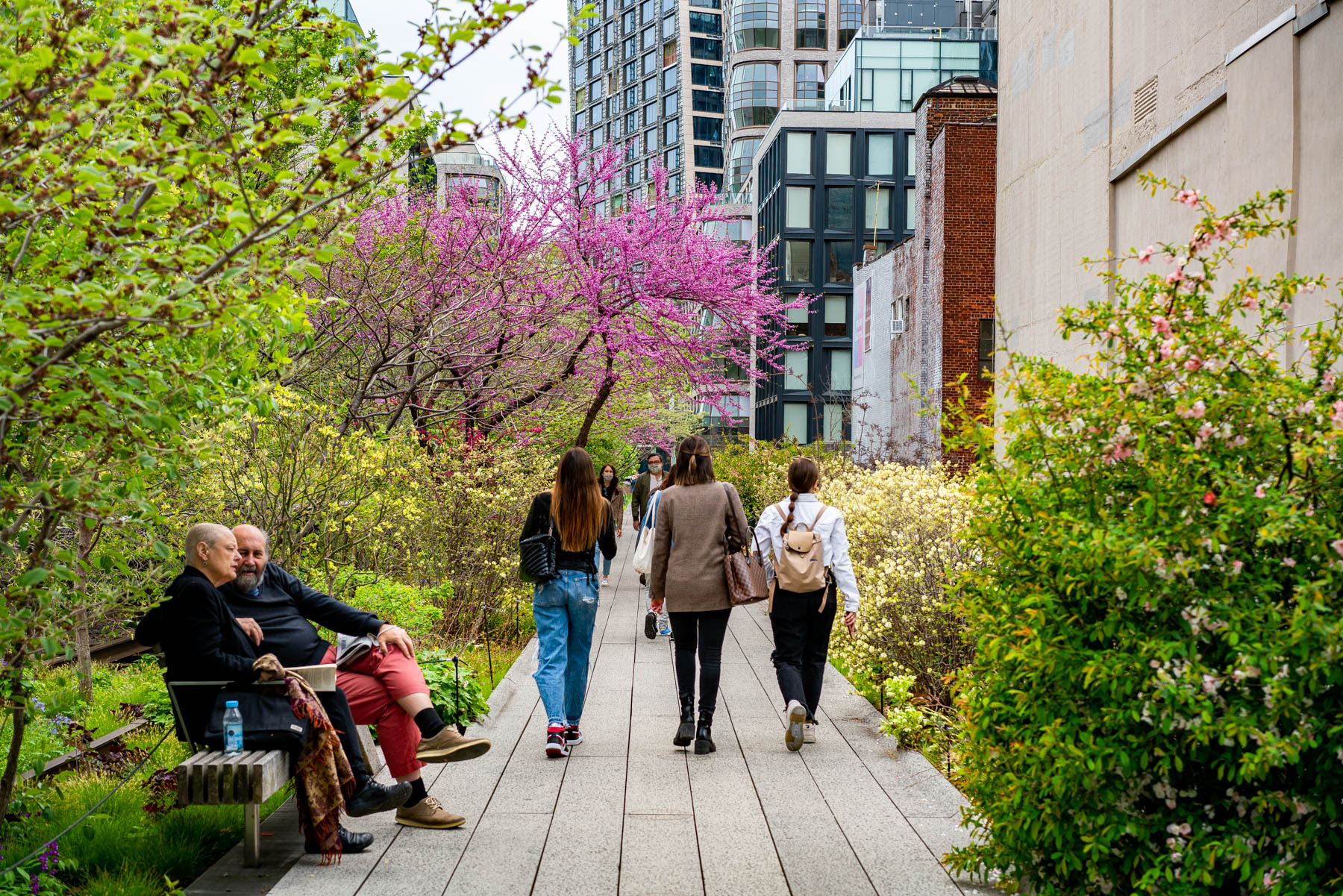 High Line in Spring, New York City Parks