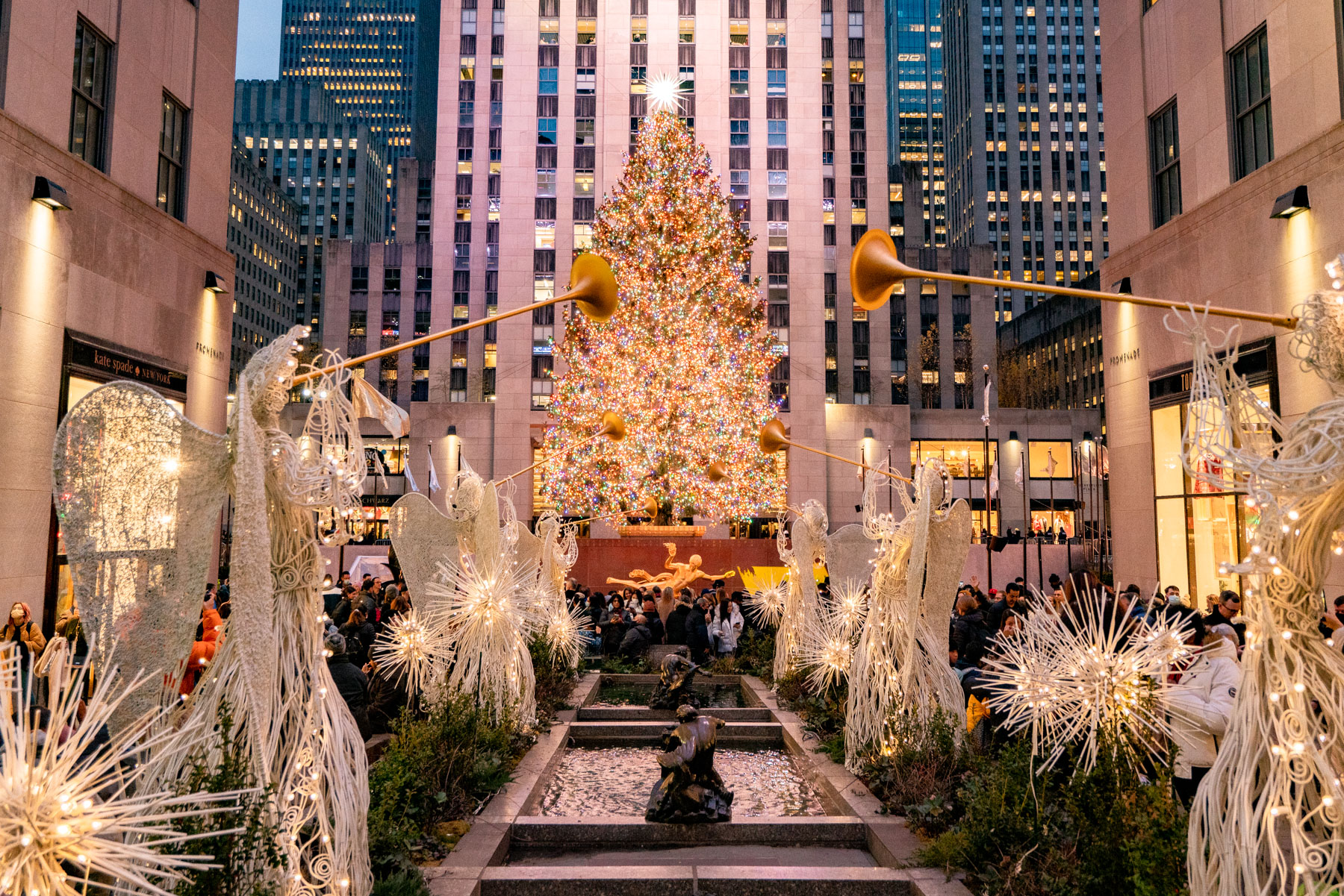 Rockefeller Center Christmas, Tree