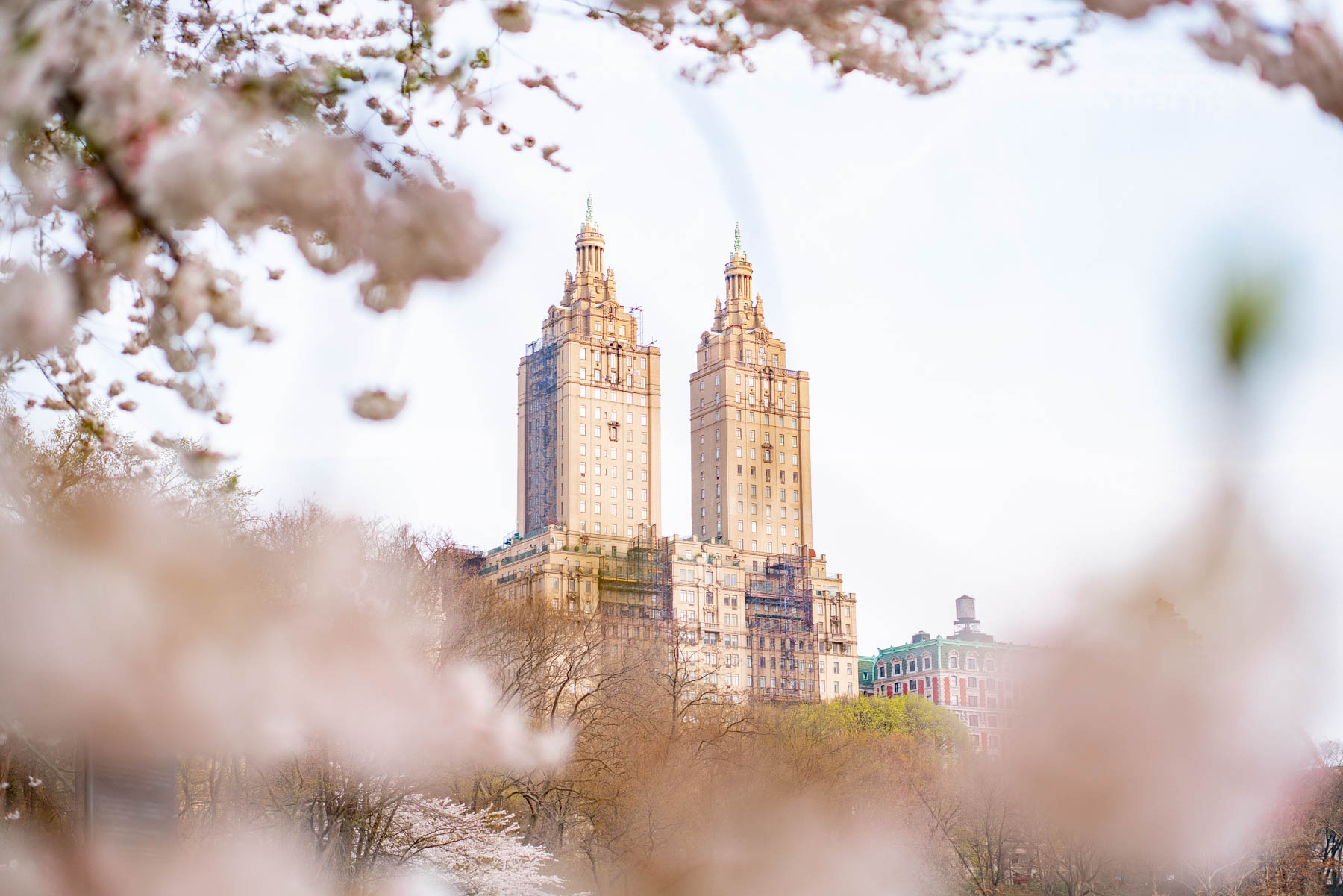 Cool facts about Central Park