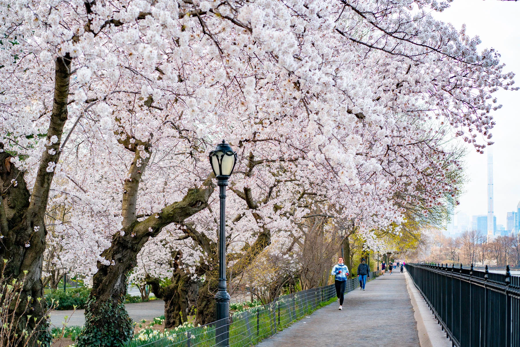 best things to do Central Park