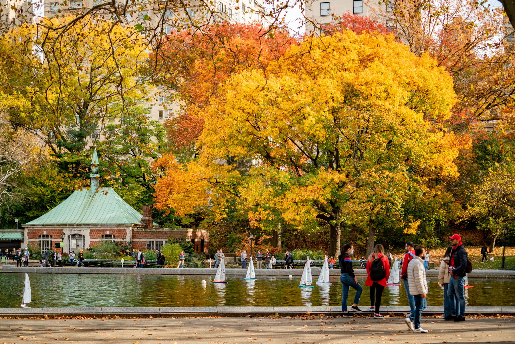 Conservatory Water in Central Park during the fall
