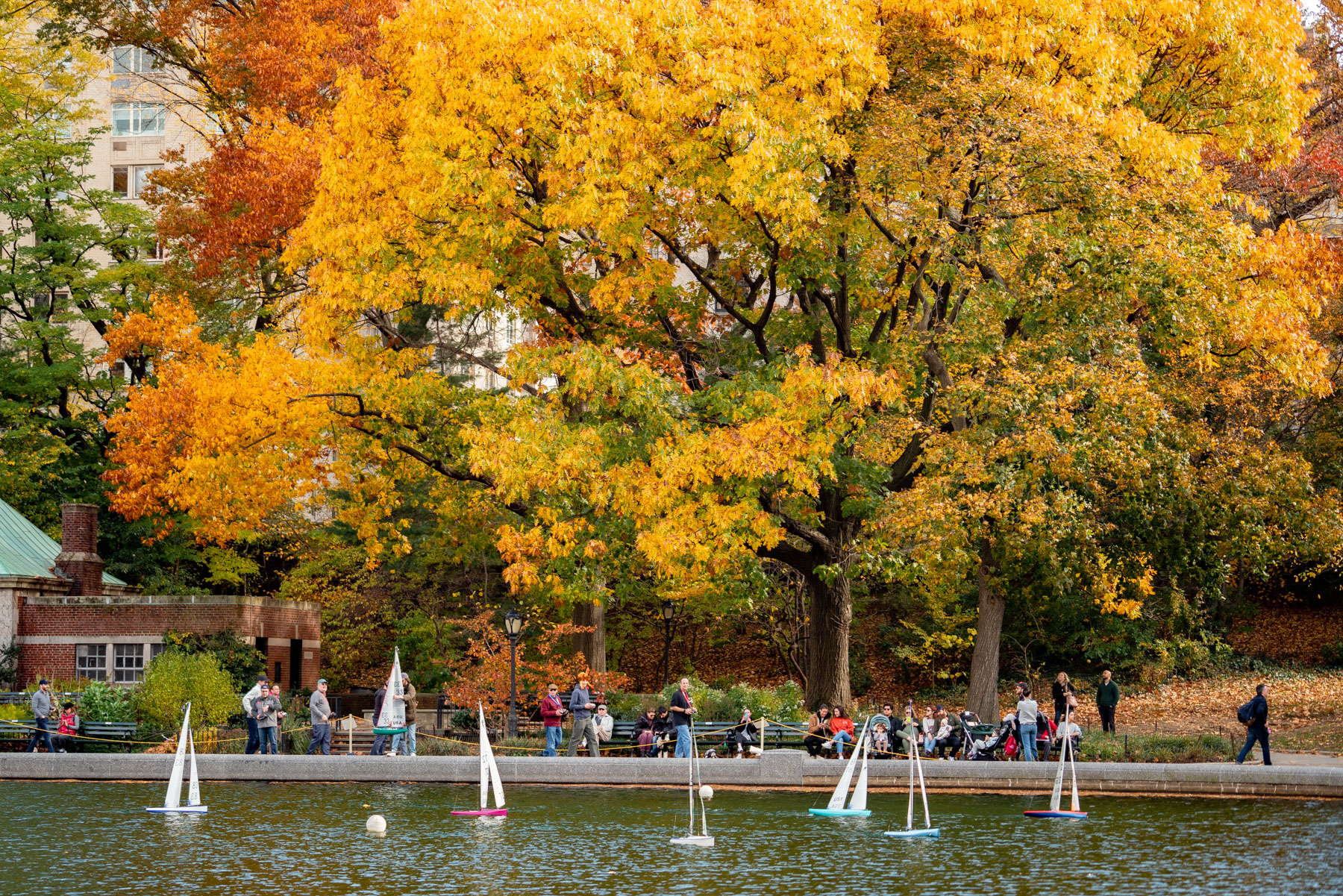 Best spots for fall color in Central Park