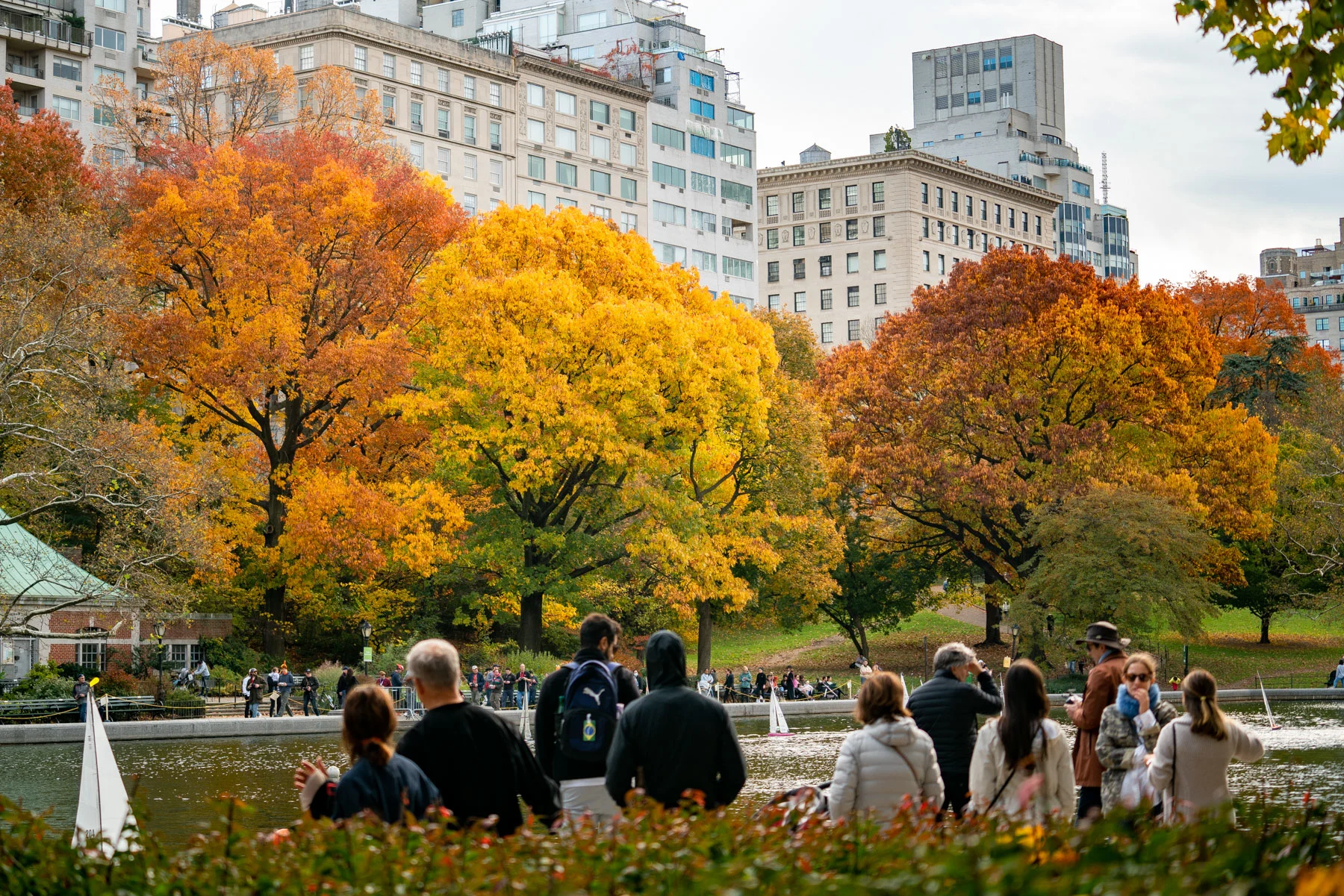 Best time to visit New York City, Fall in Central Park