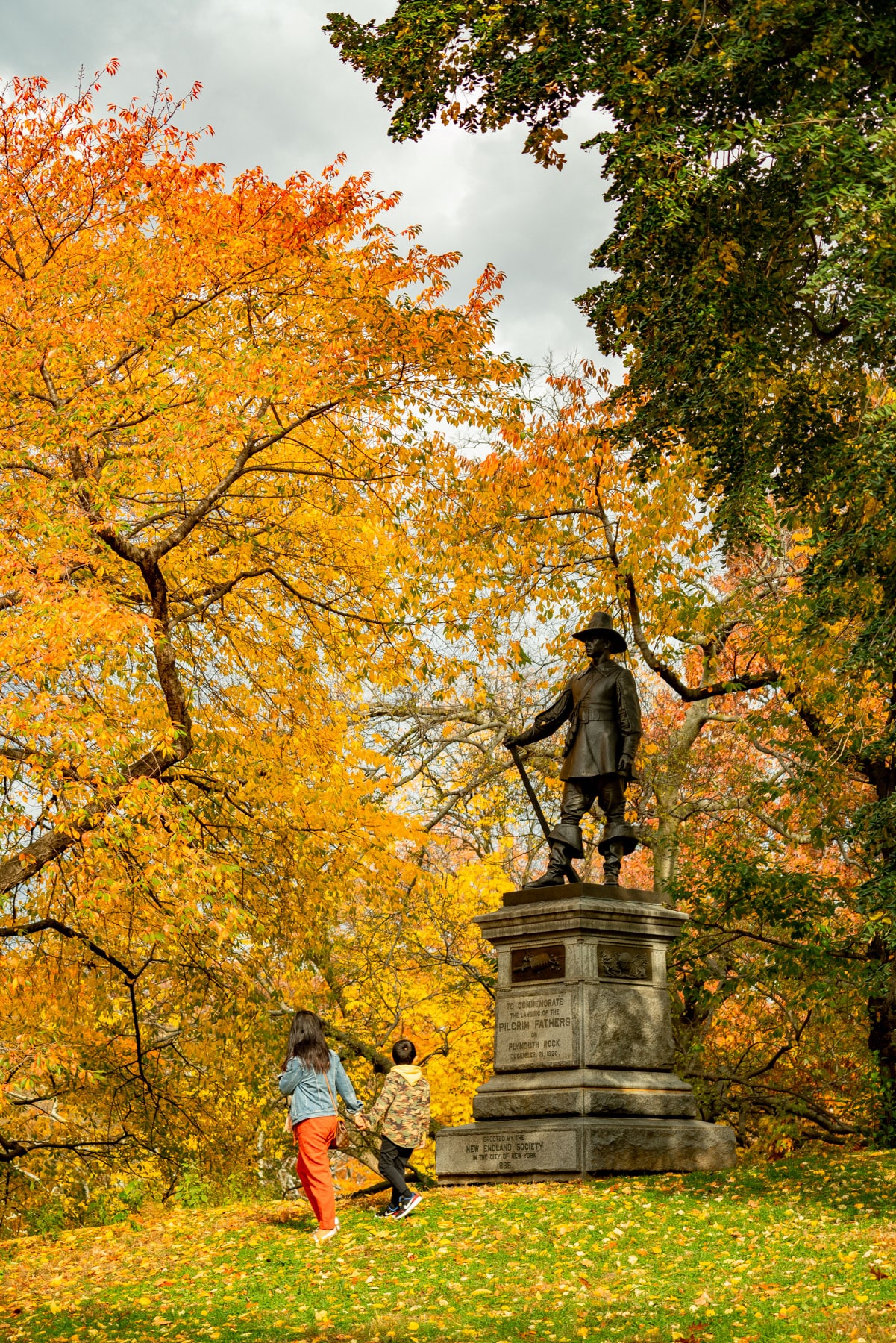 Central Park in Autumn 
Fall Foliage NYC