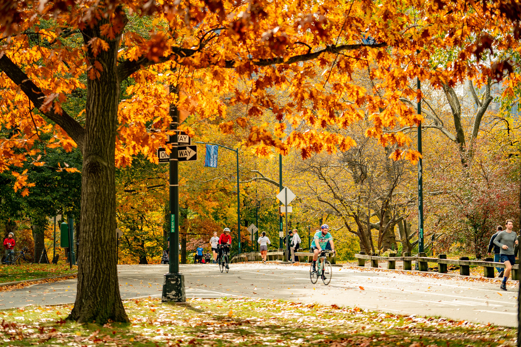 When to visit New York City, Central Park bike riders