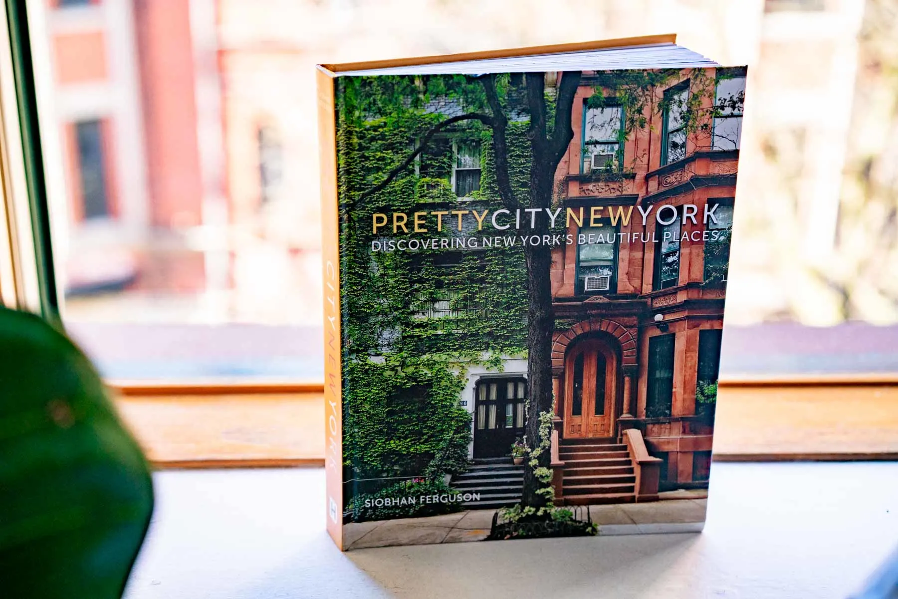 best books about New York City, Pretty City New York