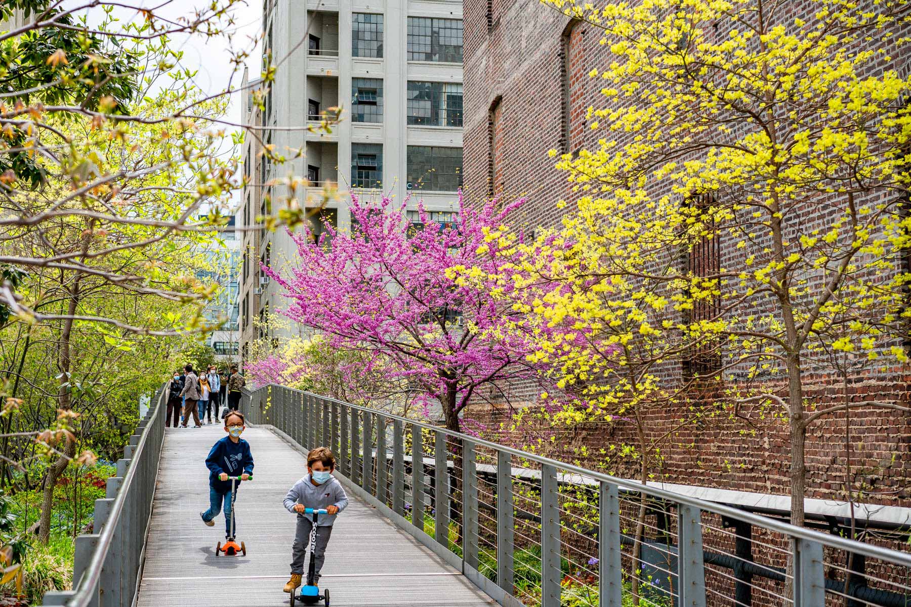 Best things to do in New York City in March, The High Line