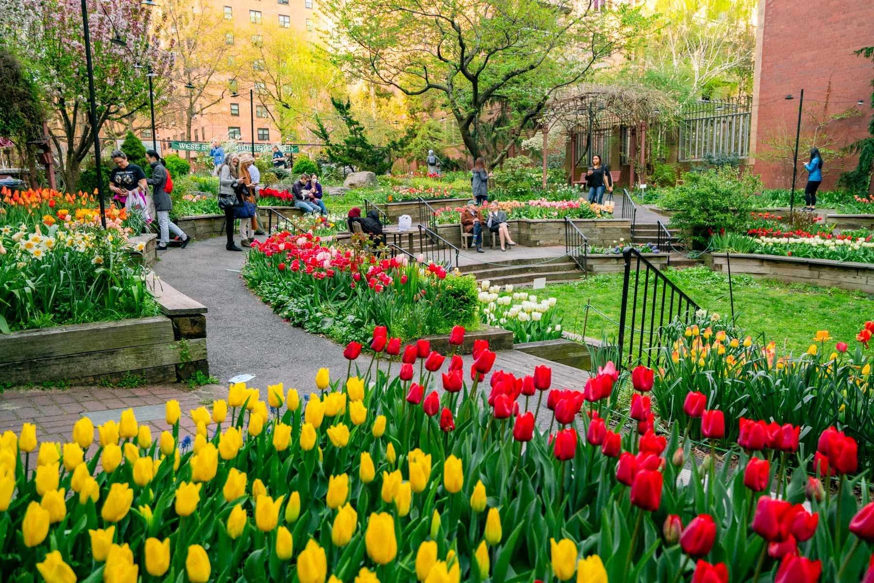 West Side Community Garden Tulips, When to visit New York City