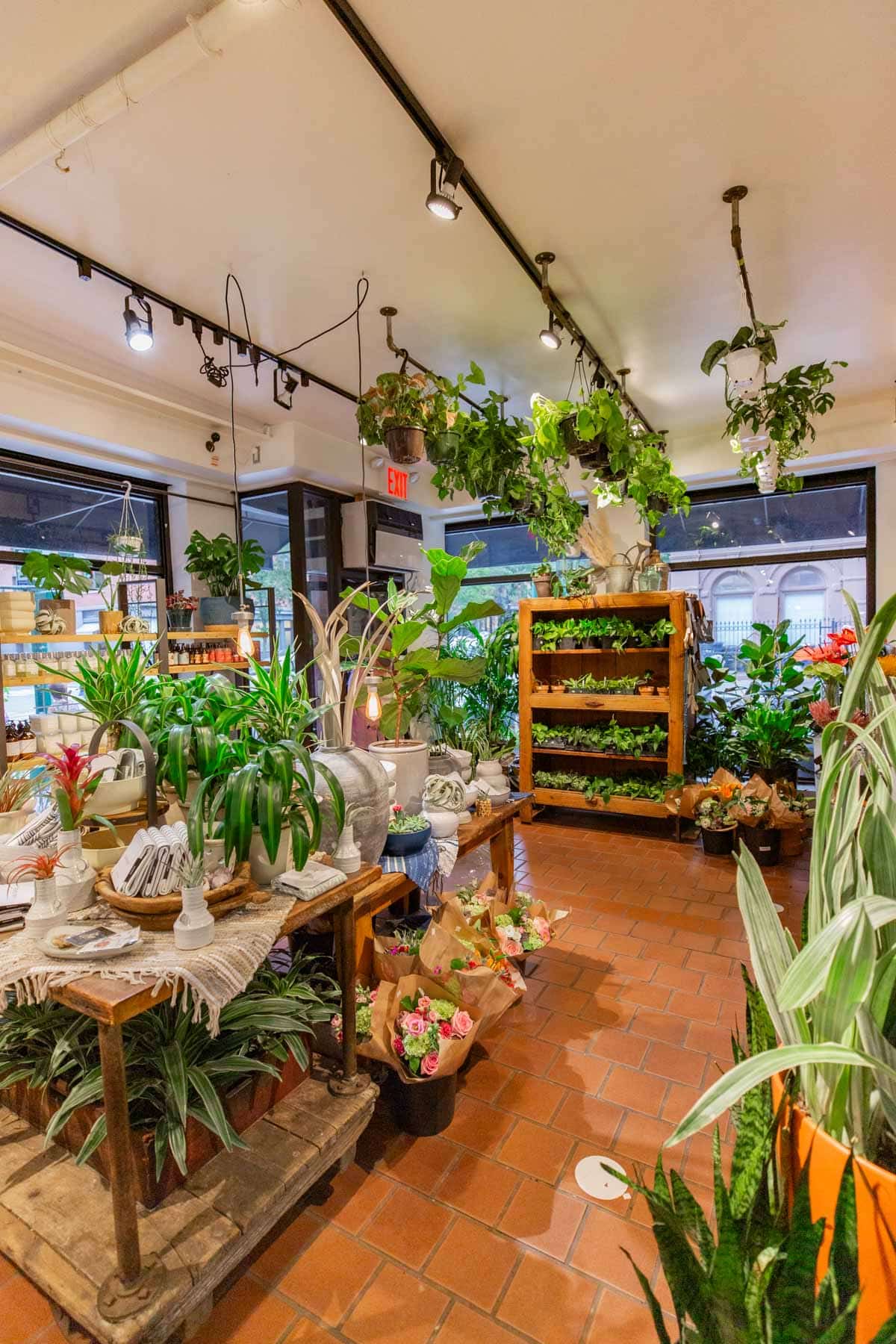PlantShed Best Plant Stores New York City