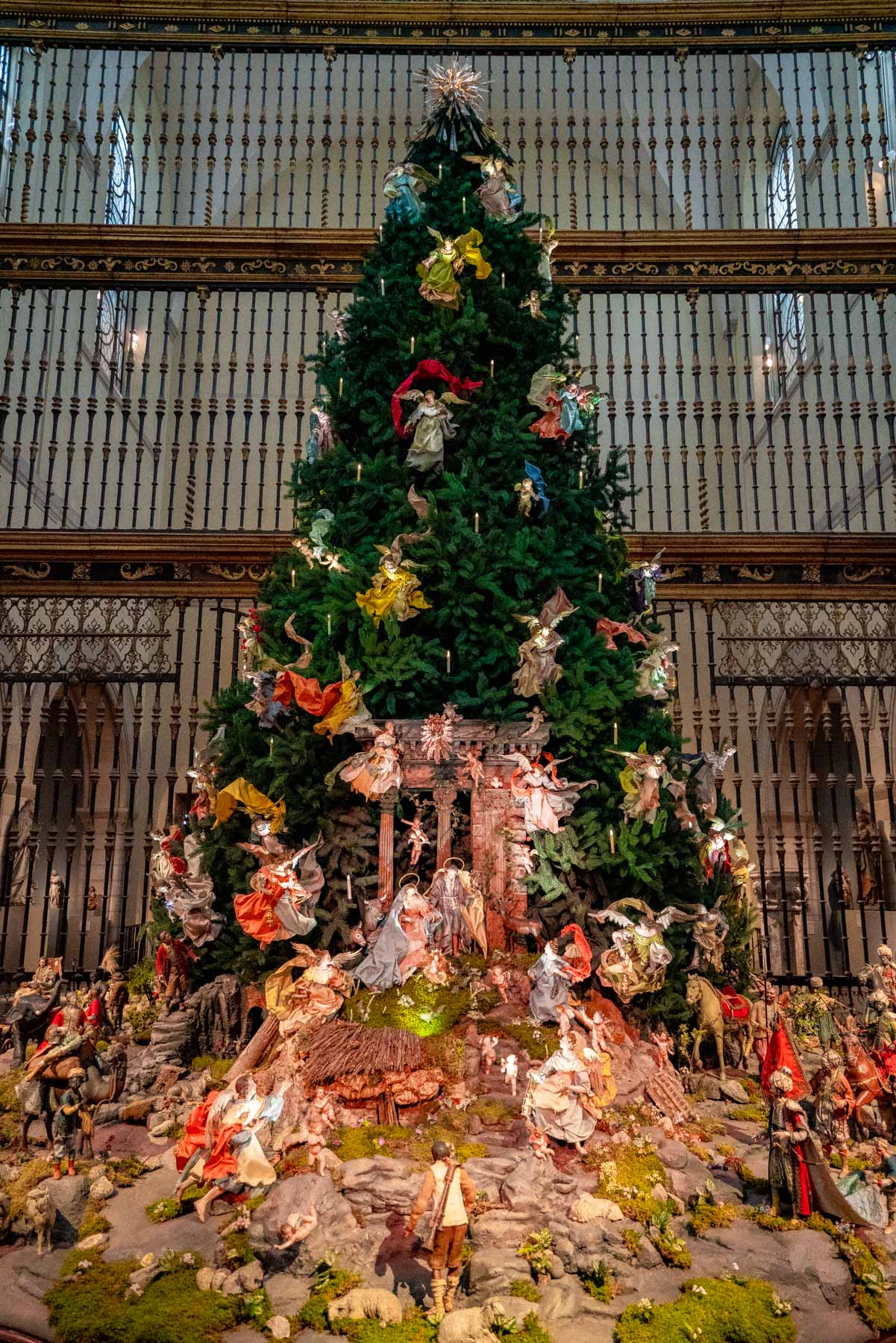 Best Christmas Trees New York City