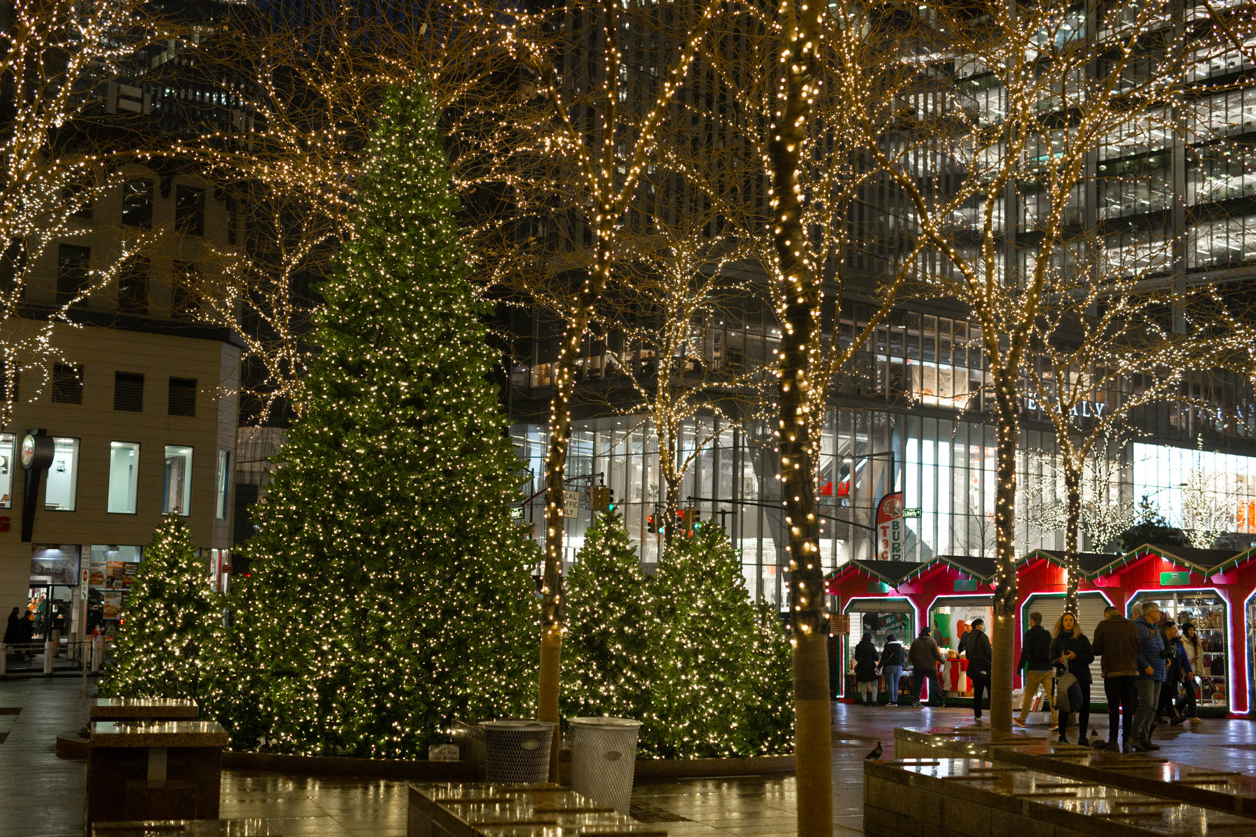 Zuccotti Park Christmas decorations NYC