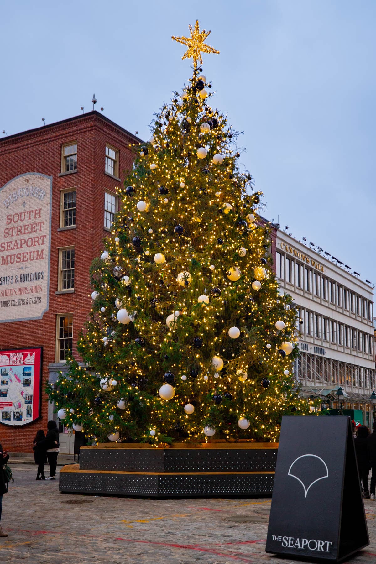 Best Christmas Trees New York City Seaport
