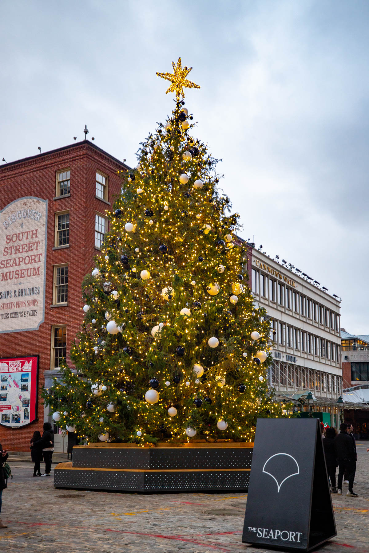 Best Christmas Trees New York City Seaport, Best Christmas decorations New York City