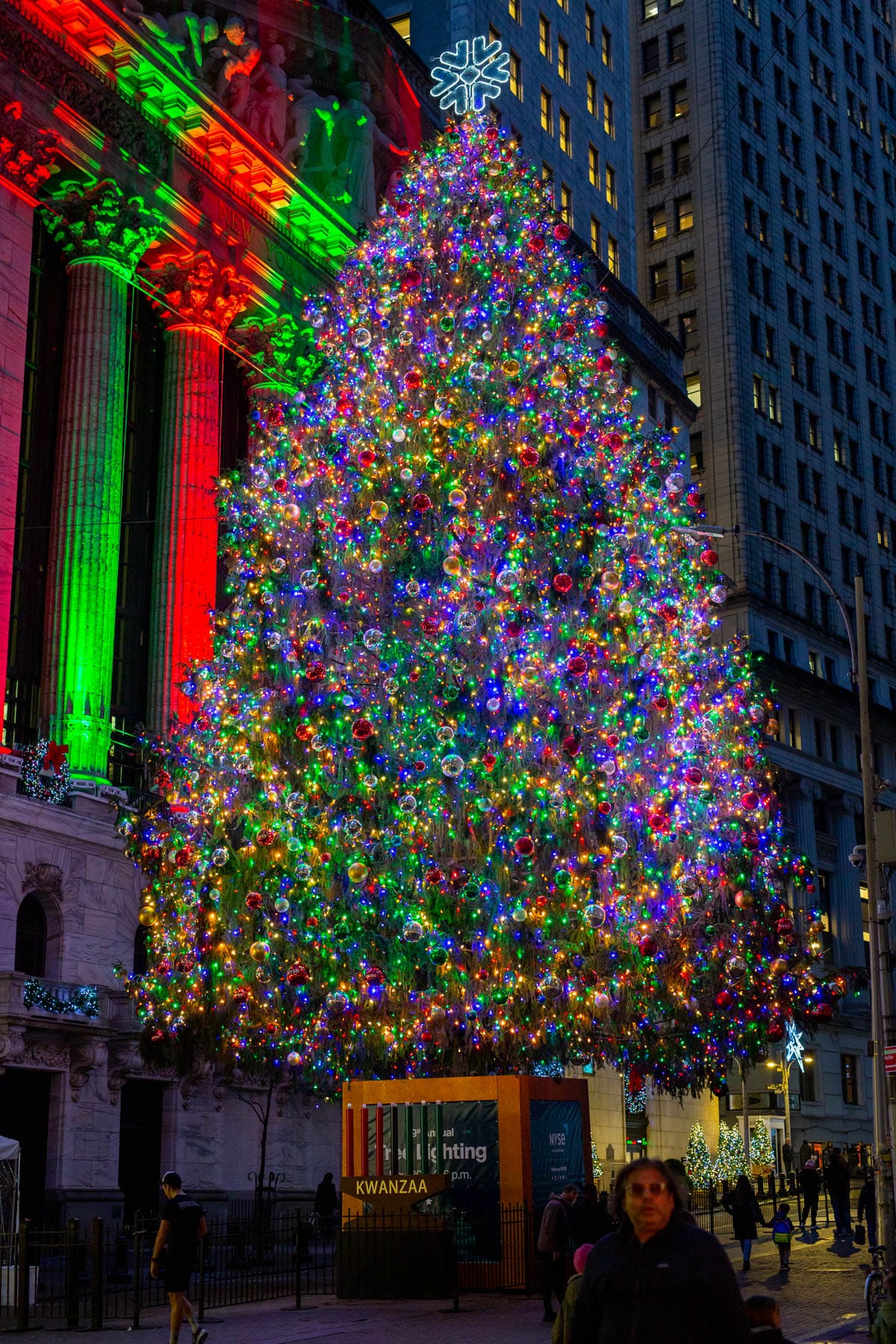 Wall Street Christmas Trees Best in New York City