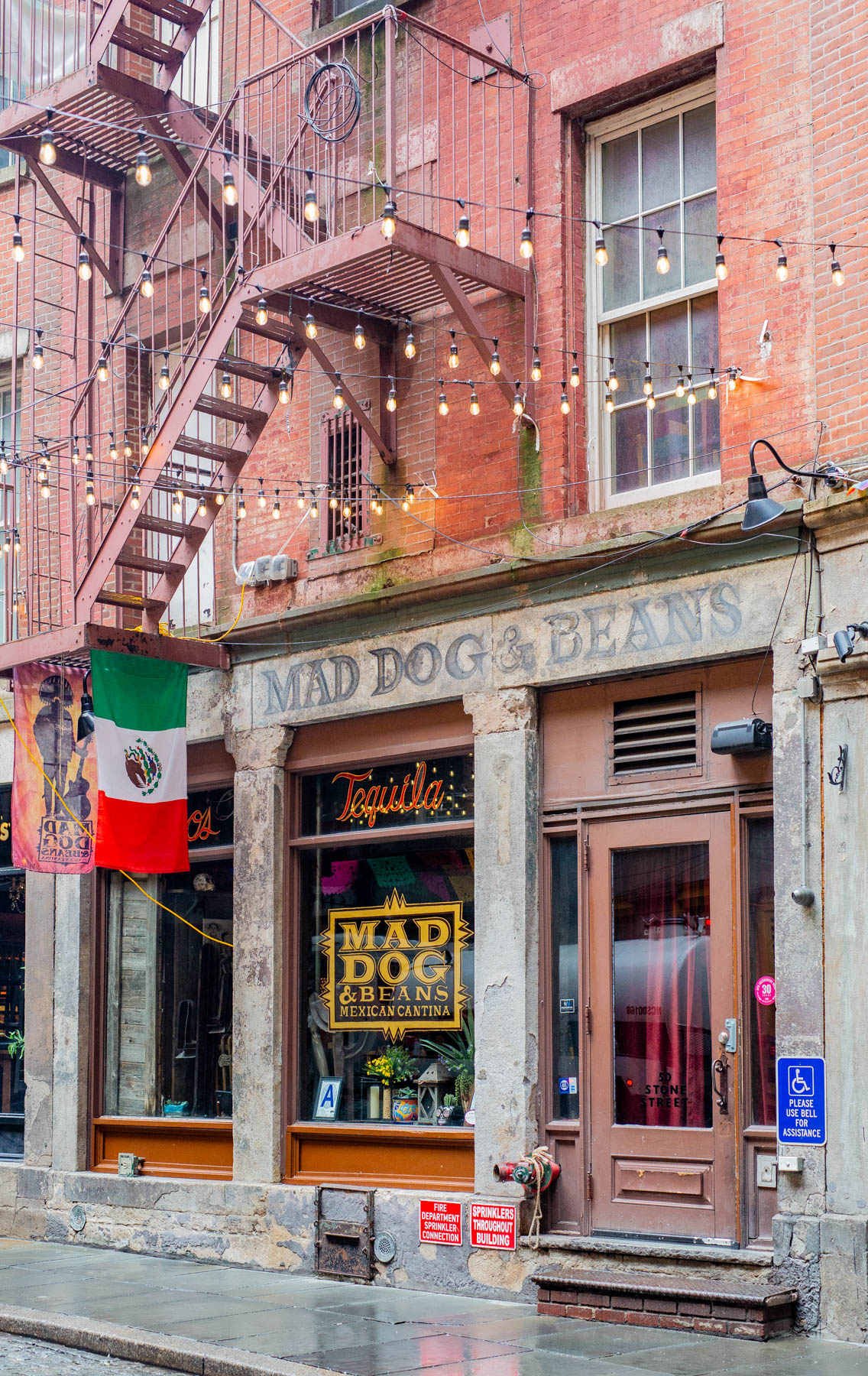 Mad Dog & Beans on Stone Street, FiDi NYC