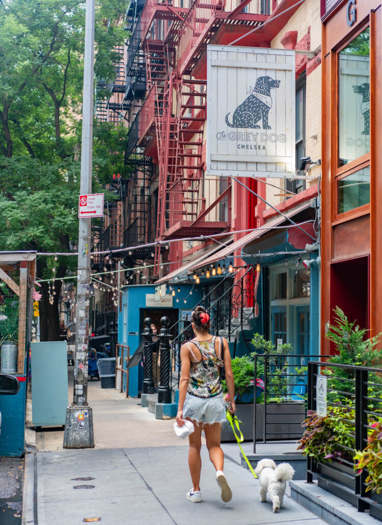 15 Dog Friendly Restaurants in New York City (Everyone Will Love)