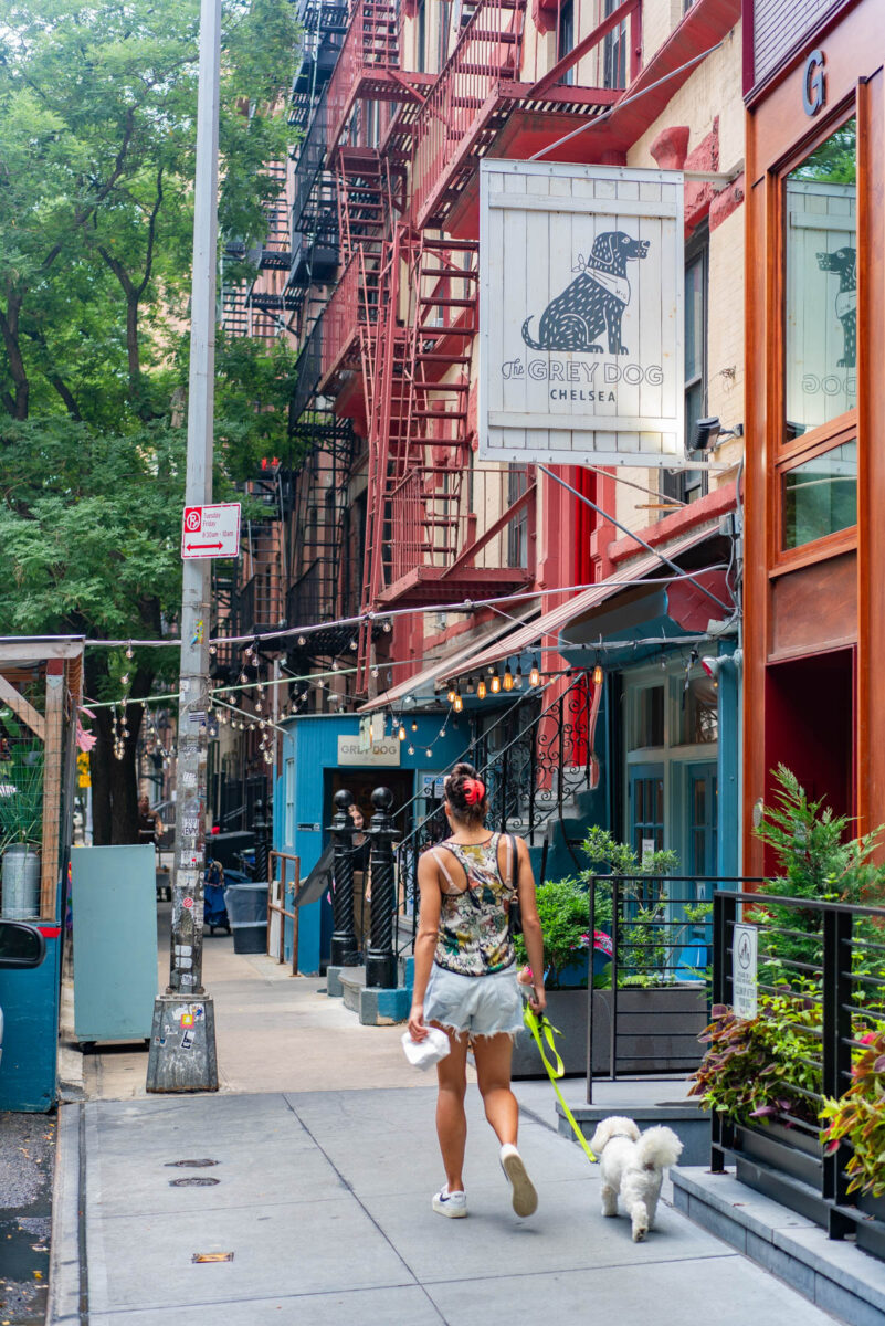 15 Dog-Friendly Restaurants in New York City (Everyone Will Love)