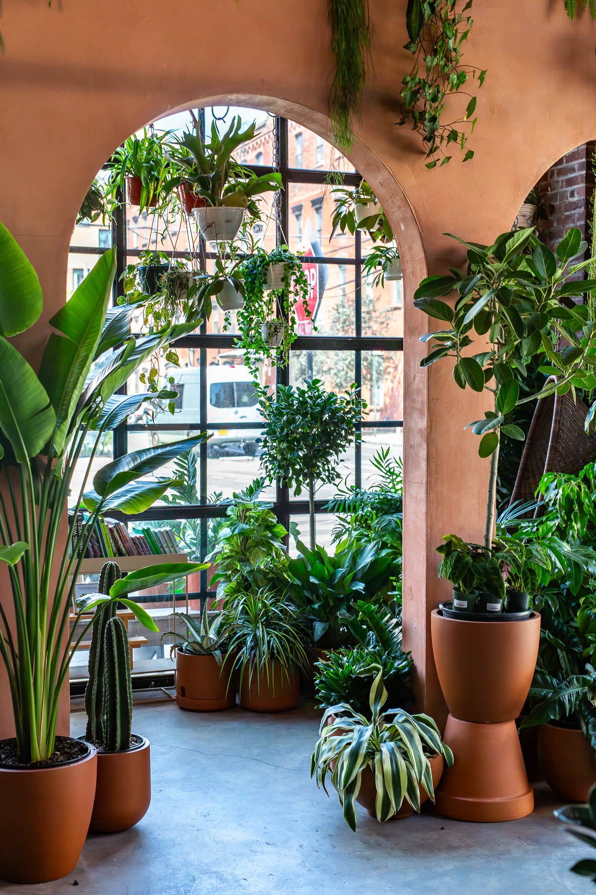 Greenery Unlimited in Greenpoint, Brooklyn, Best plant stores in NYC