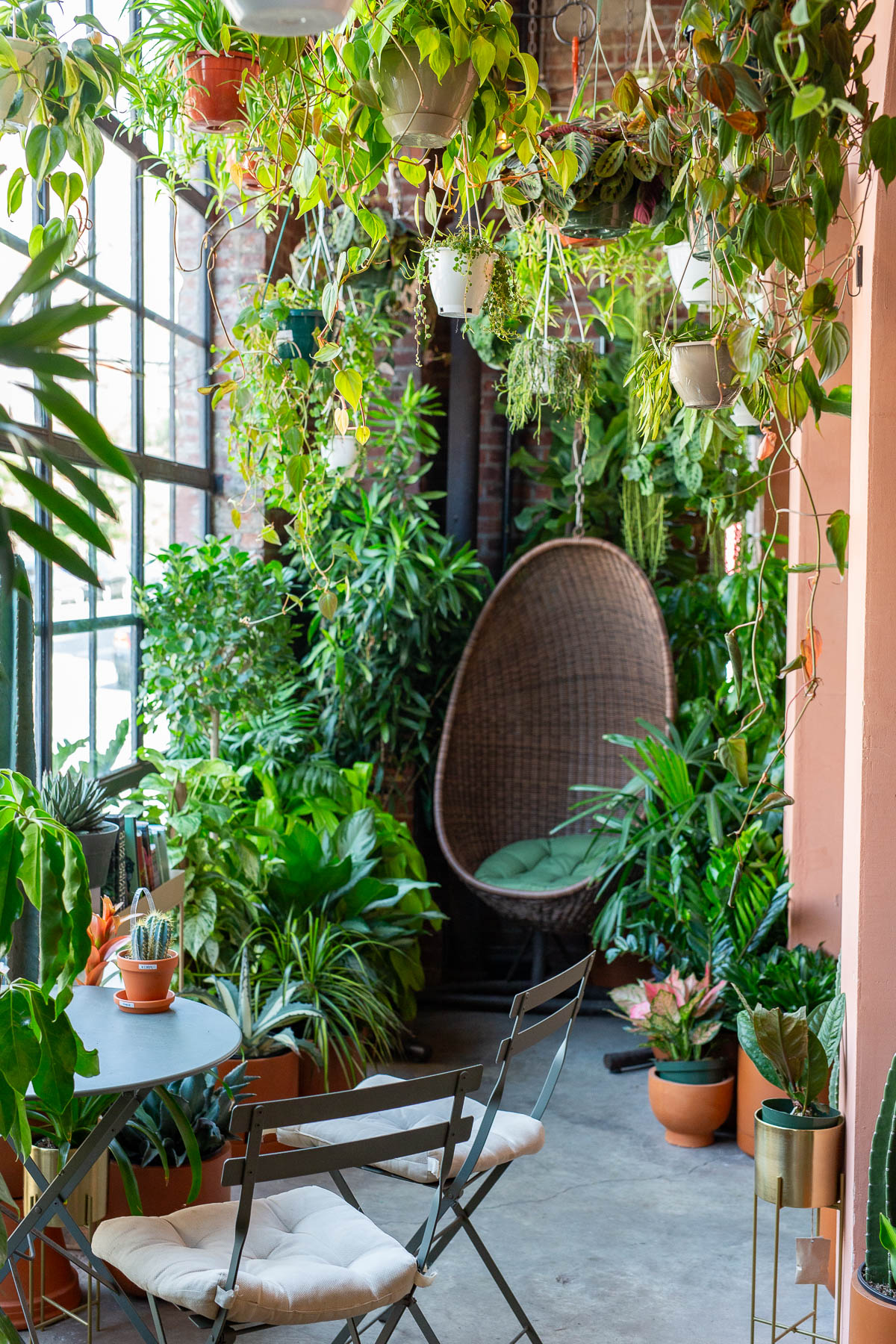 Greenery Unlimited in Greenpoint, Brooklyn, Best plant stores in NYC