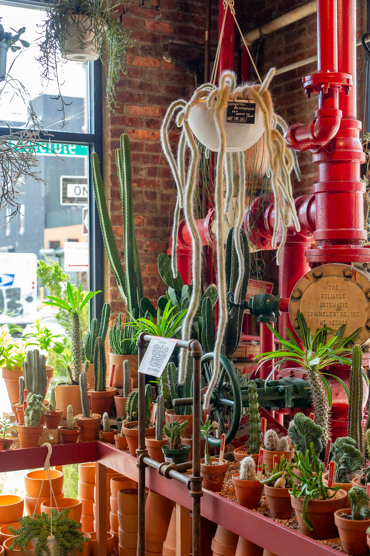 Tula House, in Greenpoint Brooklyn, Best Plants Stores in NYC