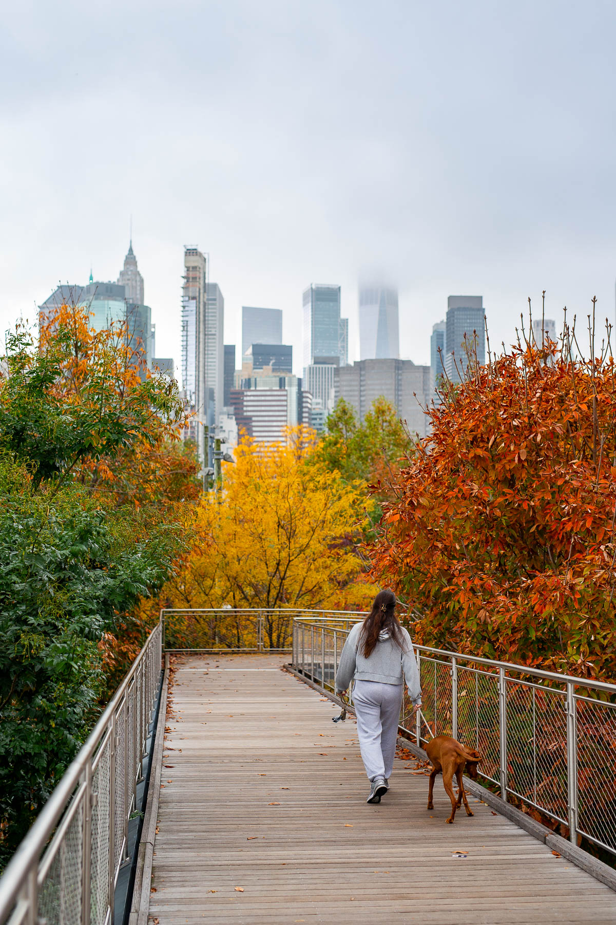 Brooklyn Bridge Park Fall Foliage in NYC NYC in fall