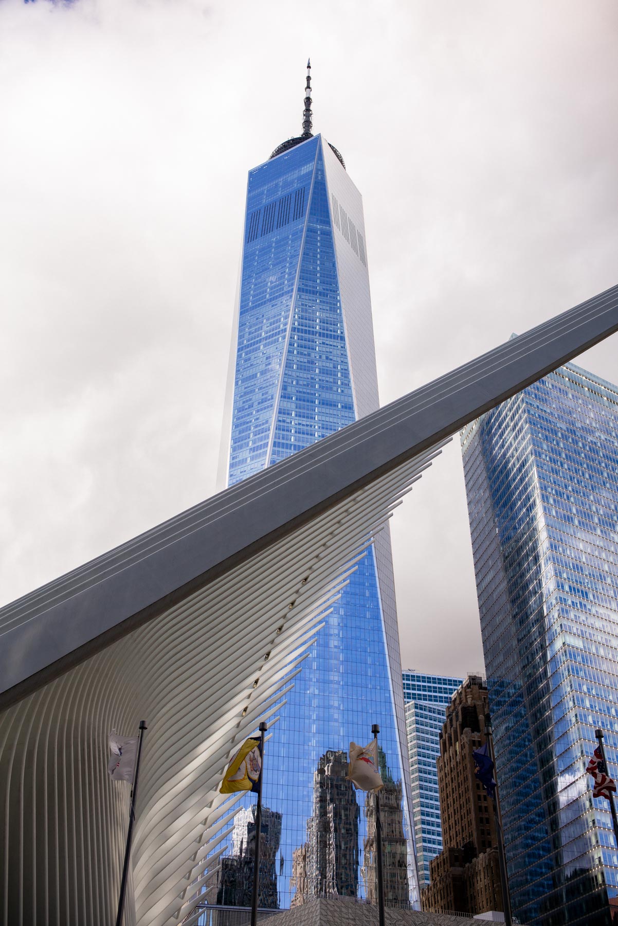 The One World Trade Center in the Financial District