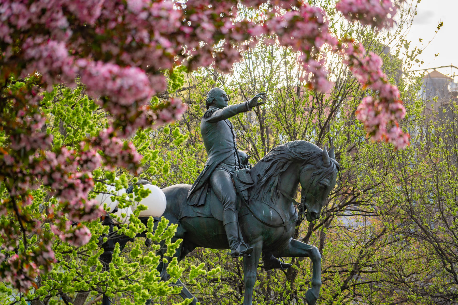 Union Square Park Spring Blooms