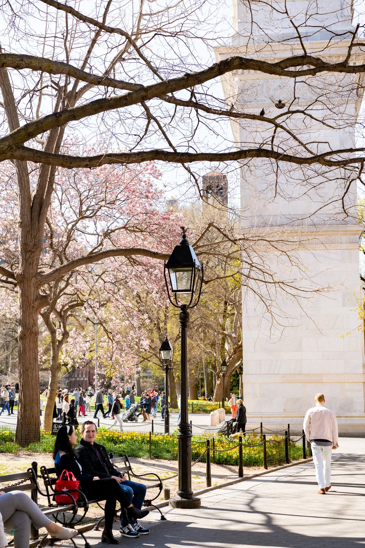 Washington Square Park in the spring