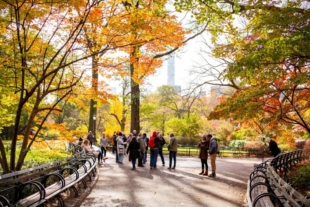 20 BEST Restaurants Near Central Park (Personal Favorites)