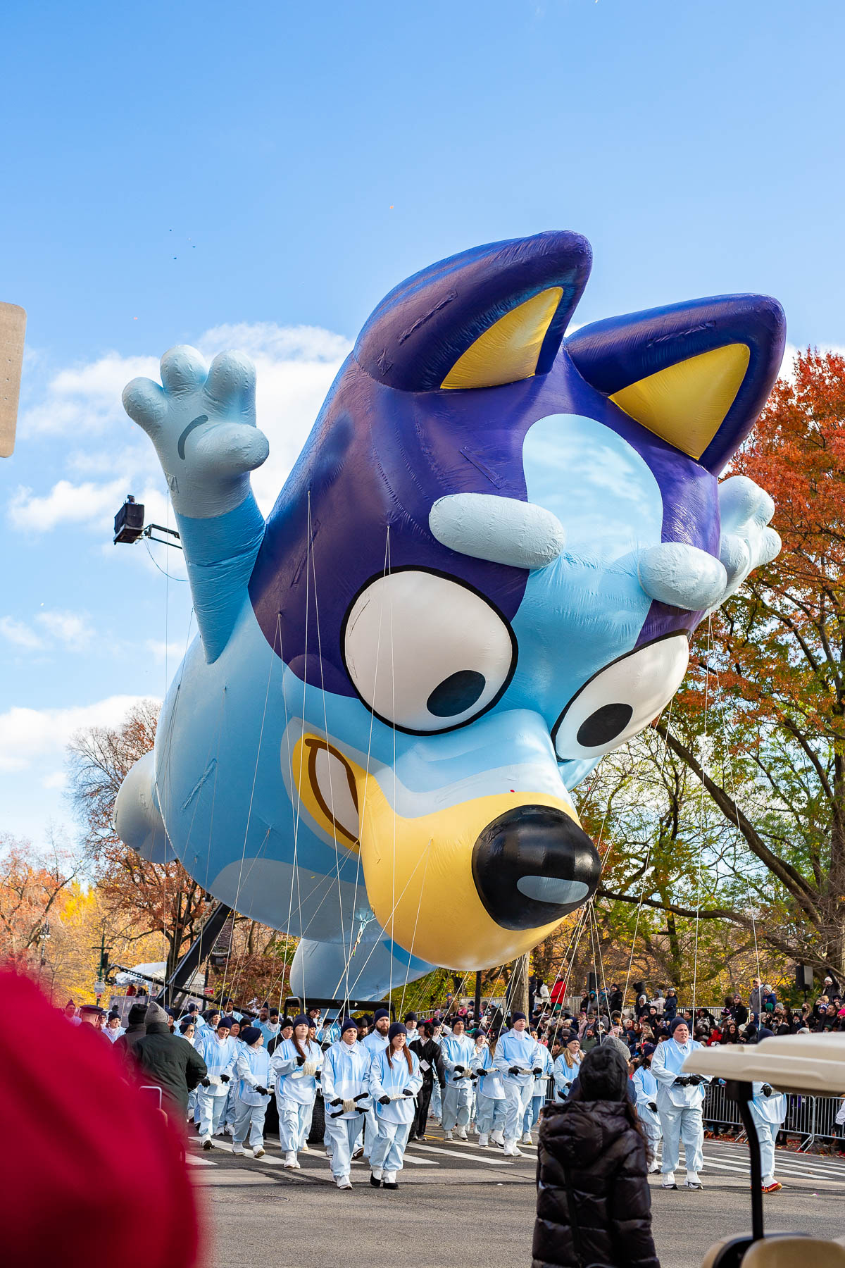 Macy's Thanksgiving Day Parade 2023 Bluey Float