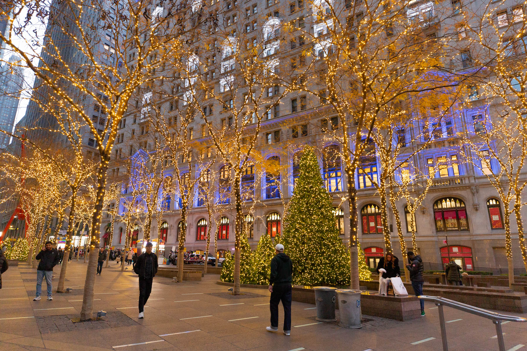 Best Christmas Trees New York City, Zuccotti Park