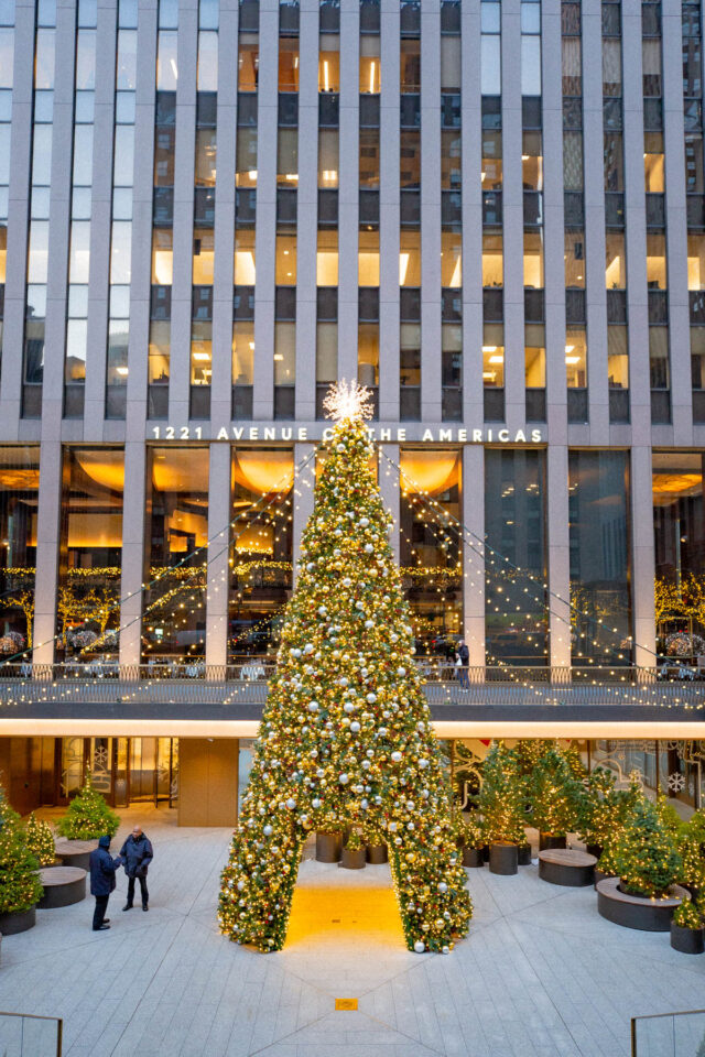 15+ CAPTIVATING Christmas Trees in NYC & Where to Find Them