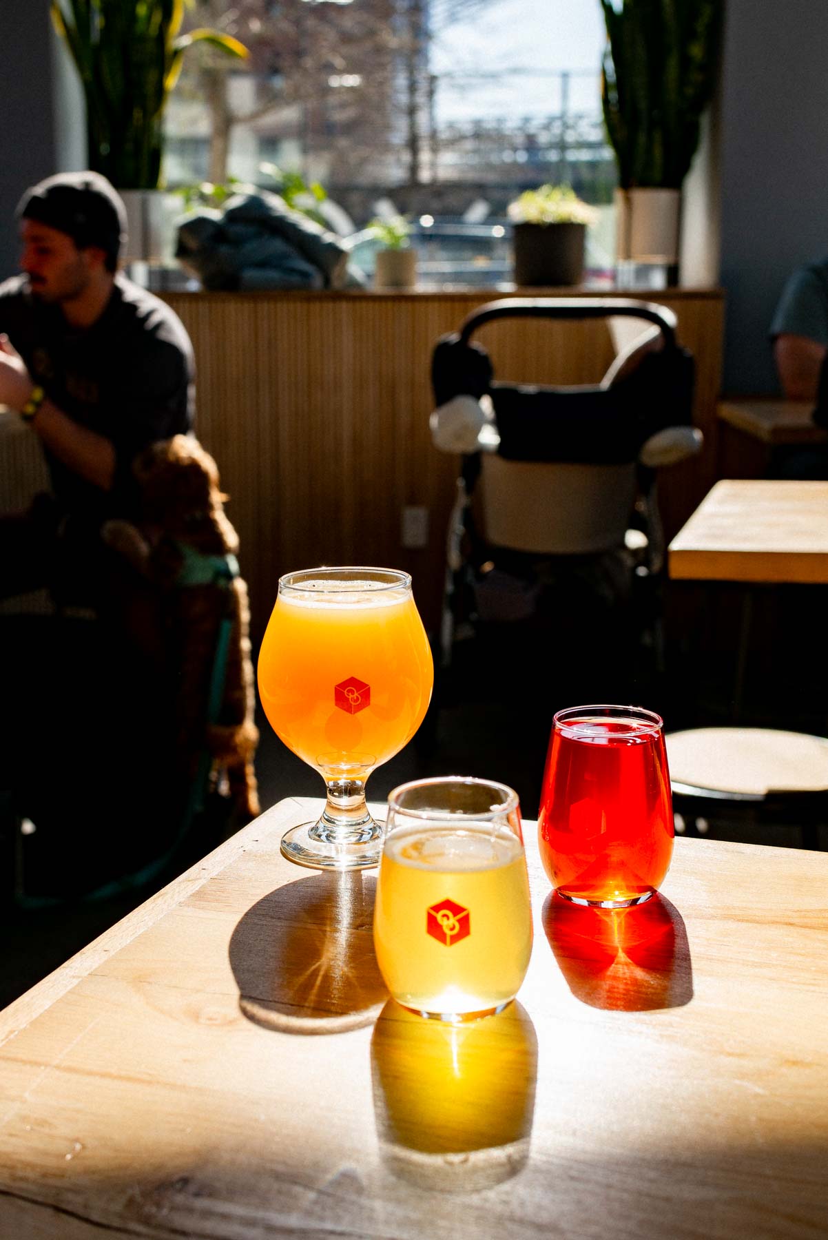 Three beers from Other Half Brewery Williamsburg on a wooden table and illuminated by a sunray, one of the best things to do in Carroll Gardens