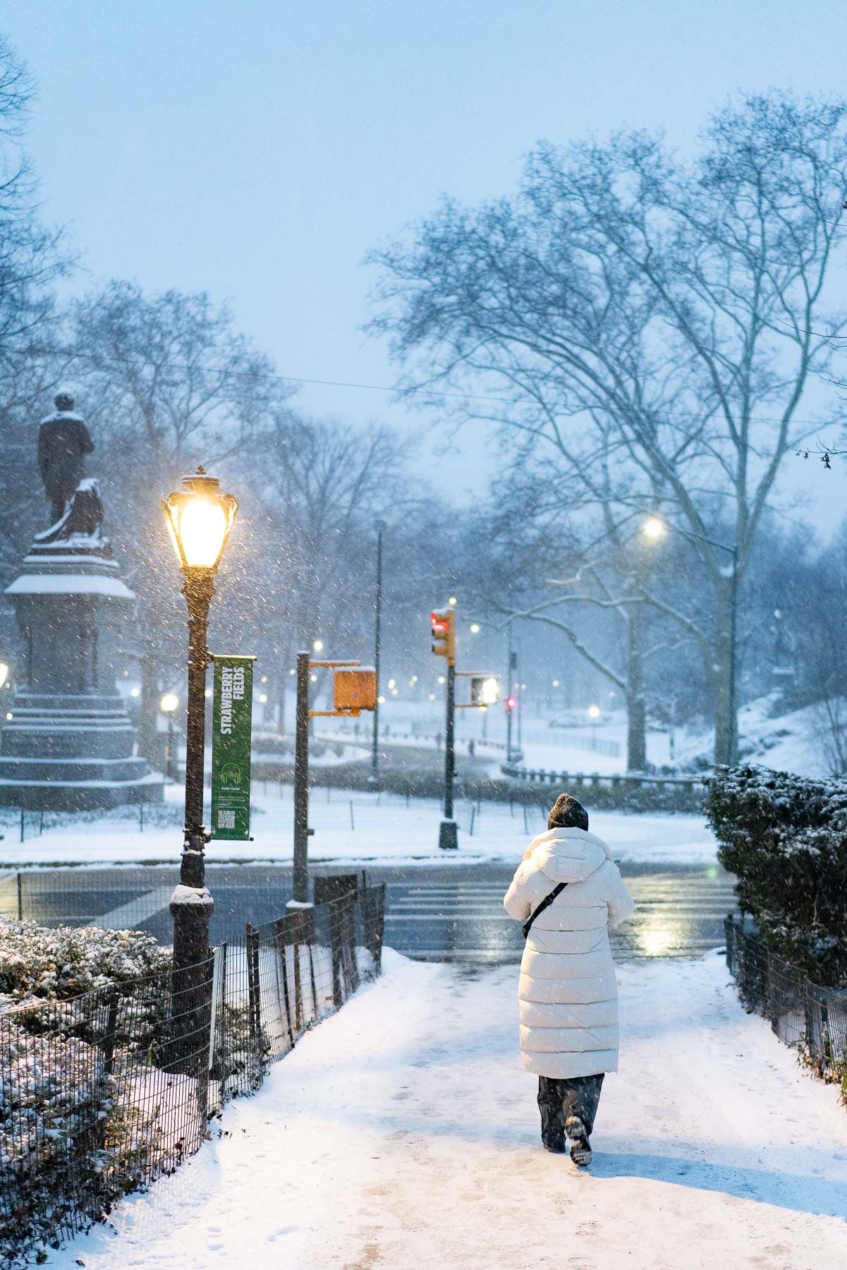Snowy walk in Central Park