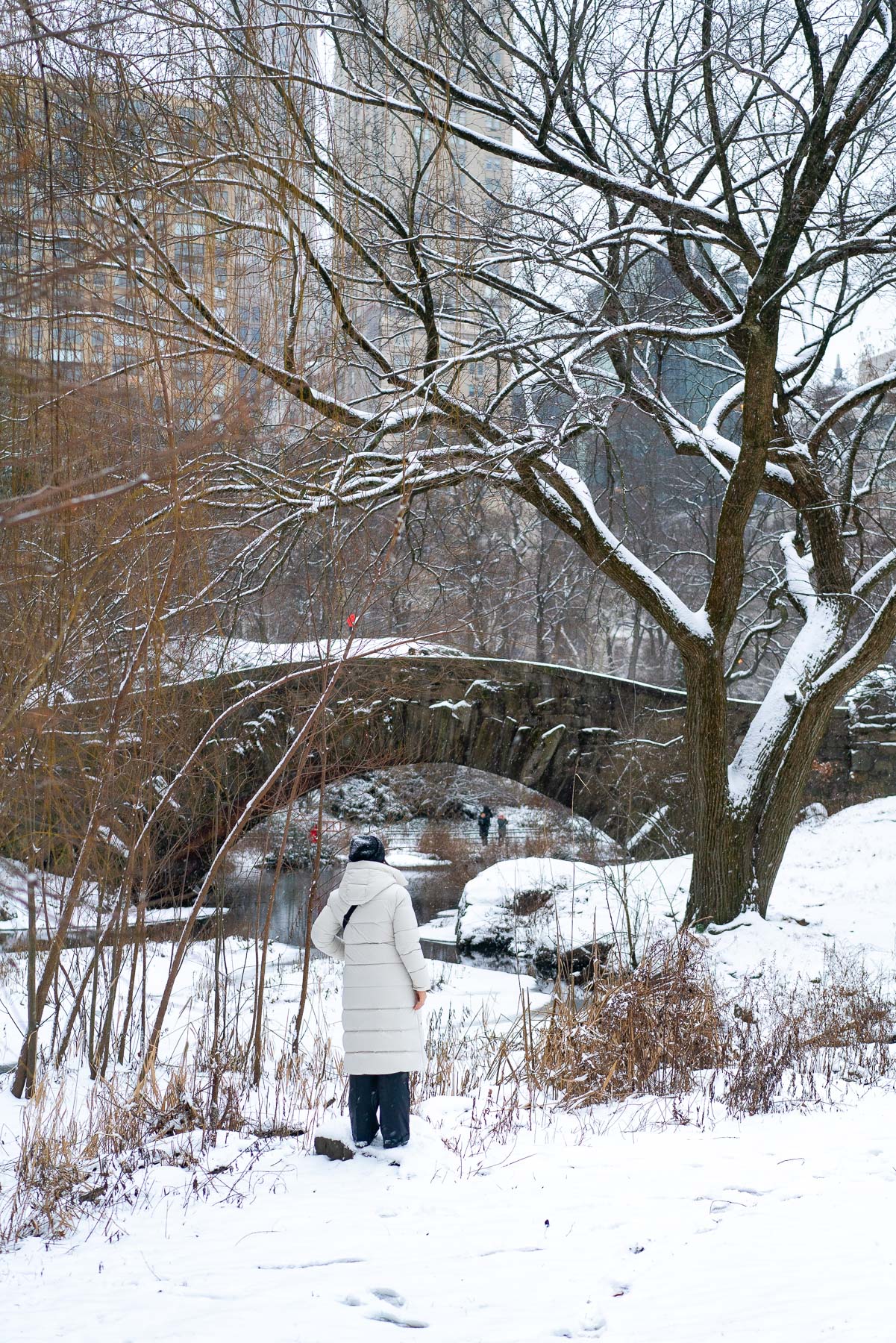 The Gapstow Bridge under the Snow, visiting new york city in winter
