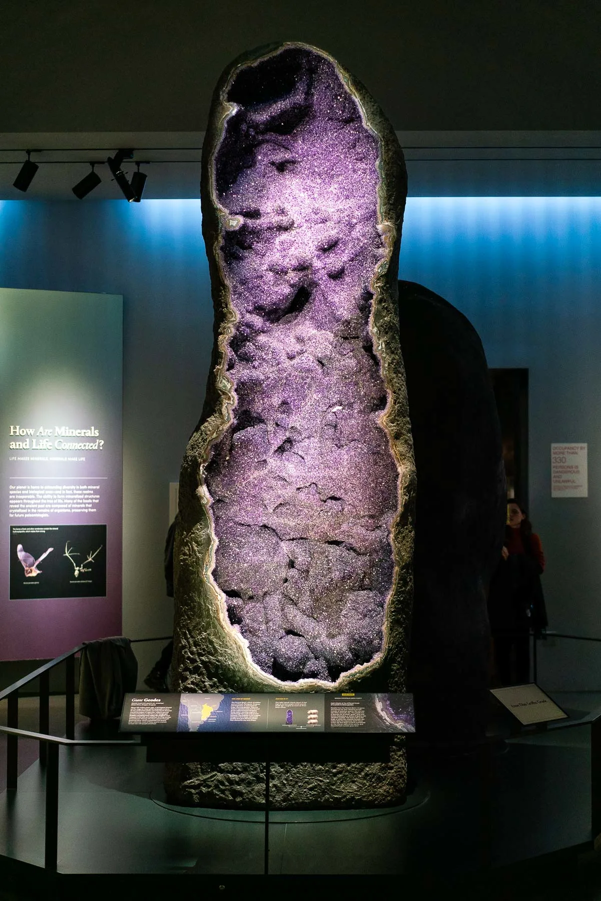 Amethyst Geode at AMNH, Best Things to See at the American Museum of Natural History