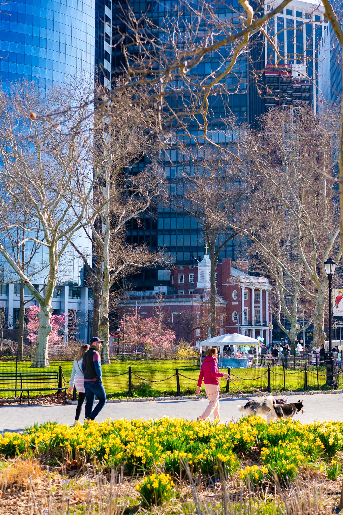 Locals strolling through Battery Park on an early spring morning, Best things to do Financial District