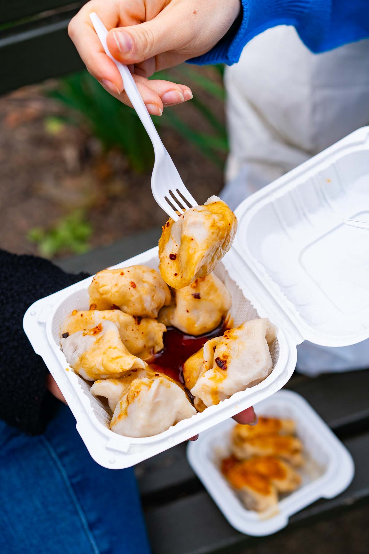 A fork picking up a fried chive dumpling made by Tasty Dumplings, one of the most affordable restaurants in Chinatown