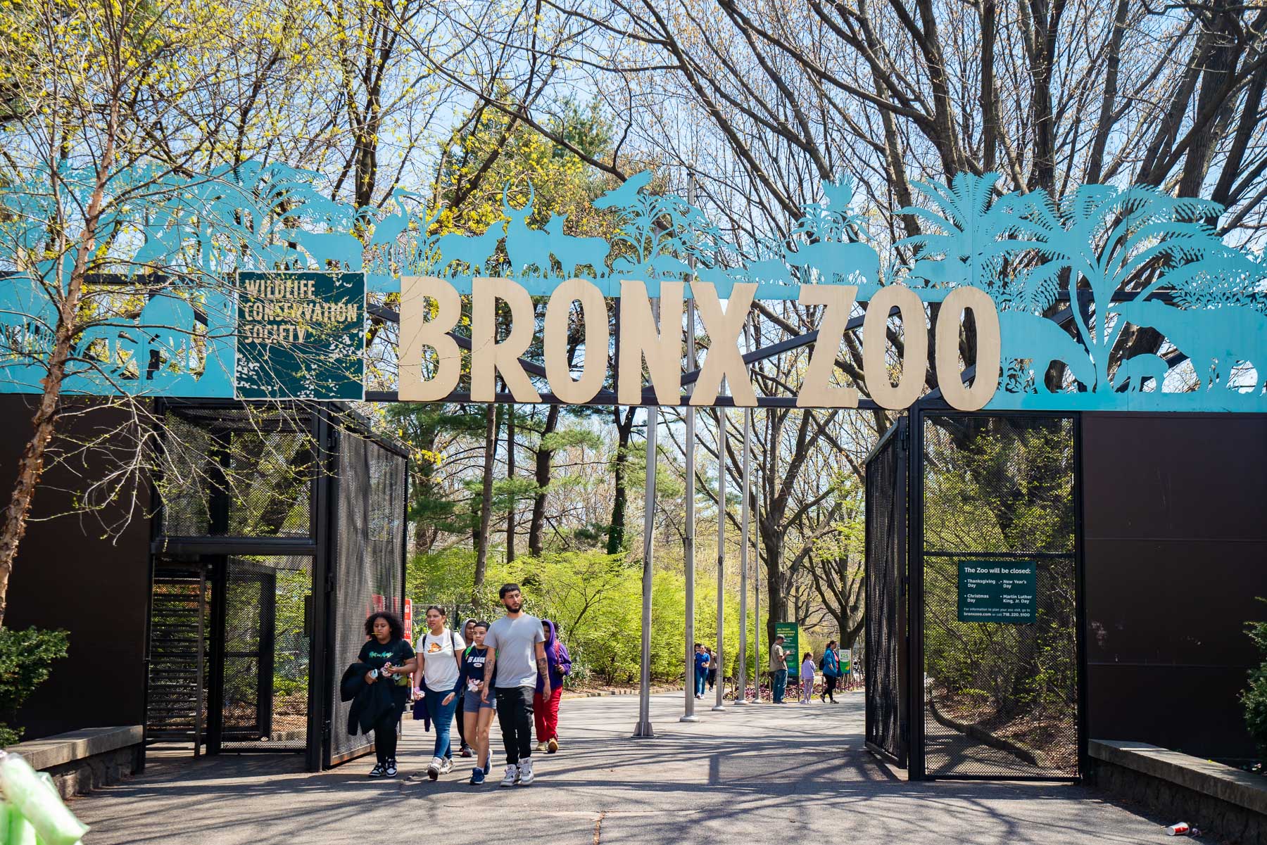 Kids walking under the blue and yellow Bronx Zoo sign on a sunny day that's illuminating the greenery